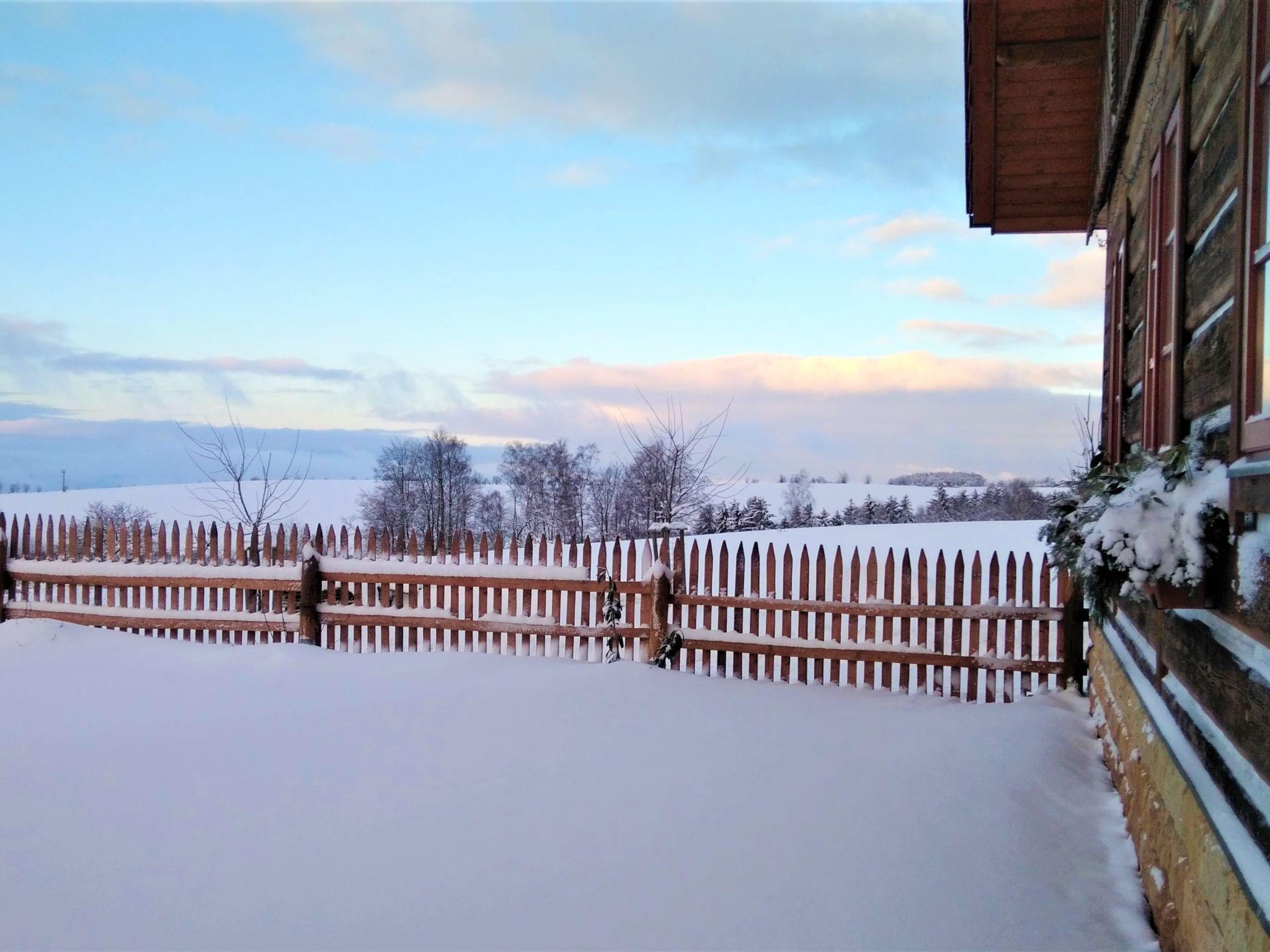 Foto 55 - Casa de 7 habitaciones en Úhlejov con piscina privada y vistas a la montaña