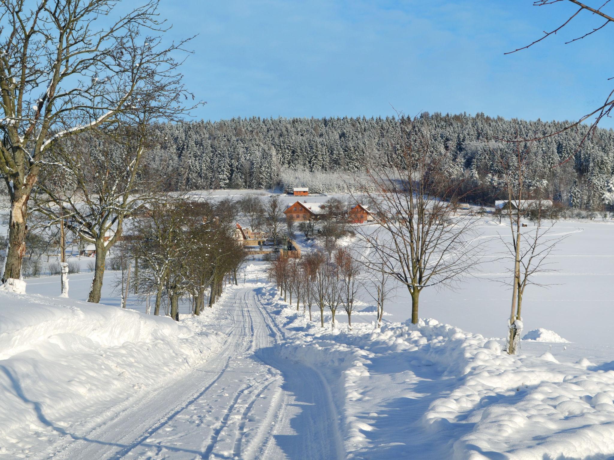 Foto 53 - Haus mit 7 Schlafzimmern in Úhlejov mit privater pool und blick auf die berge