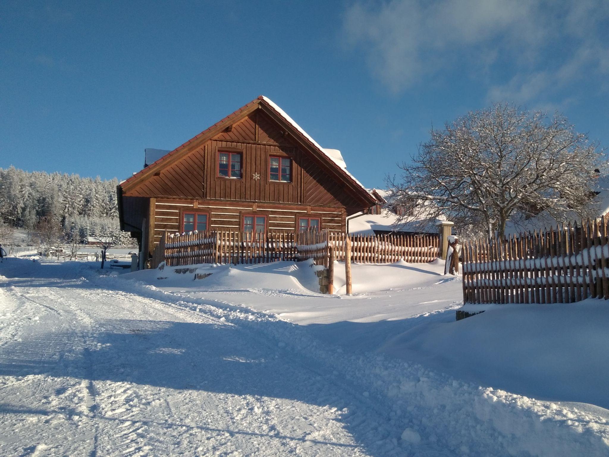 Foto 49 - Casa de 7 habitaciones en Úhlejov con piscina privada y vistas a la montaña