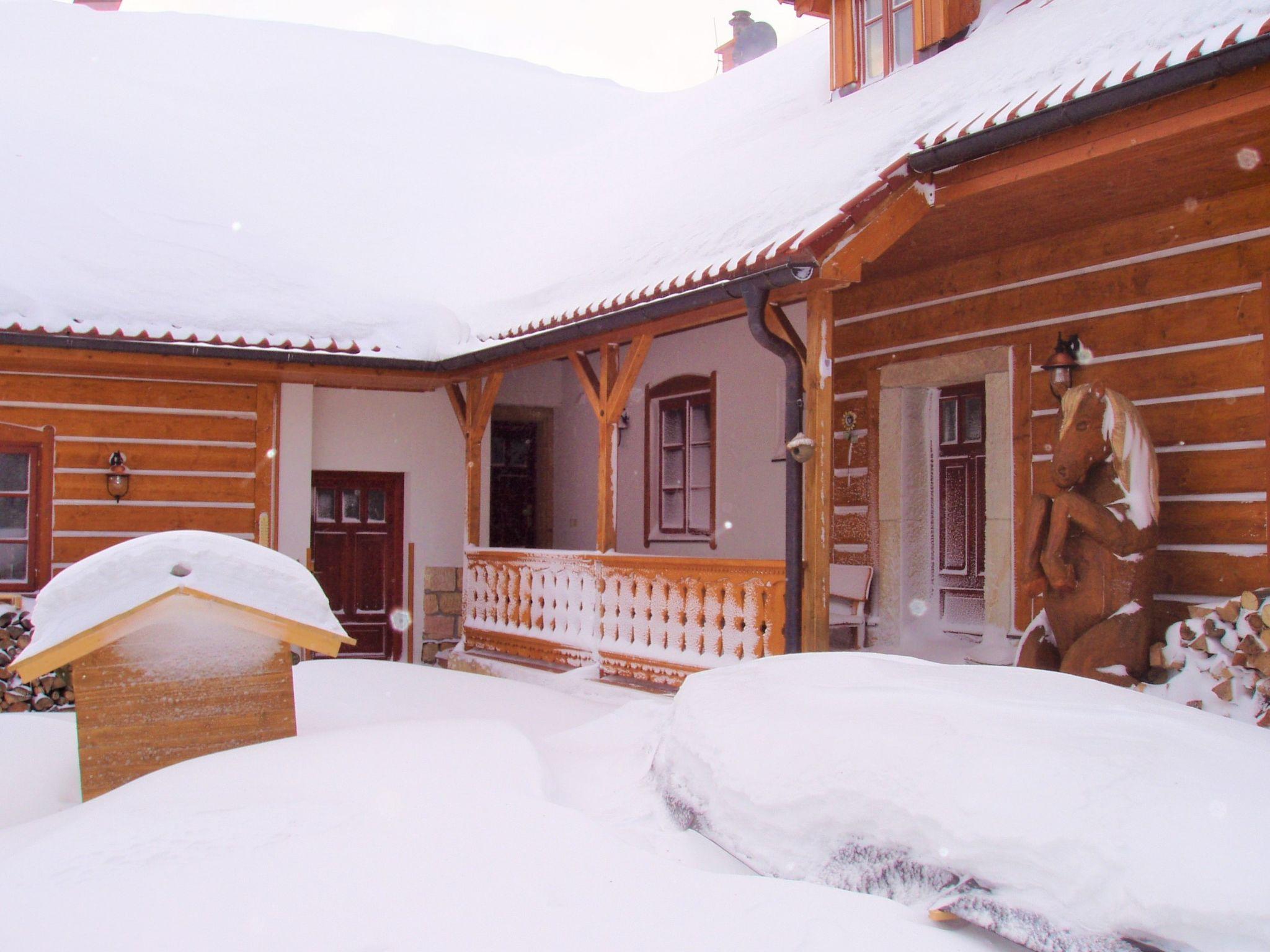 Foto 47 - Casa de 7 habitaciones en Úhlejov con piscina privada y vistas a la montaña