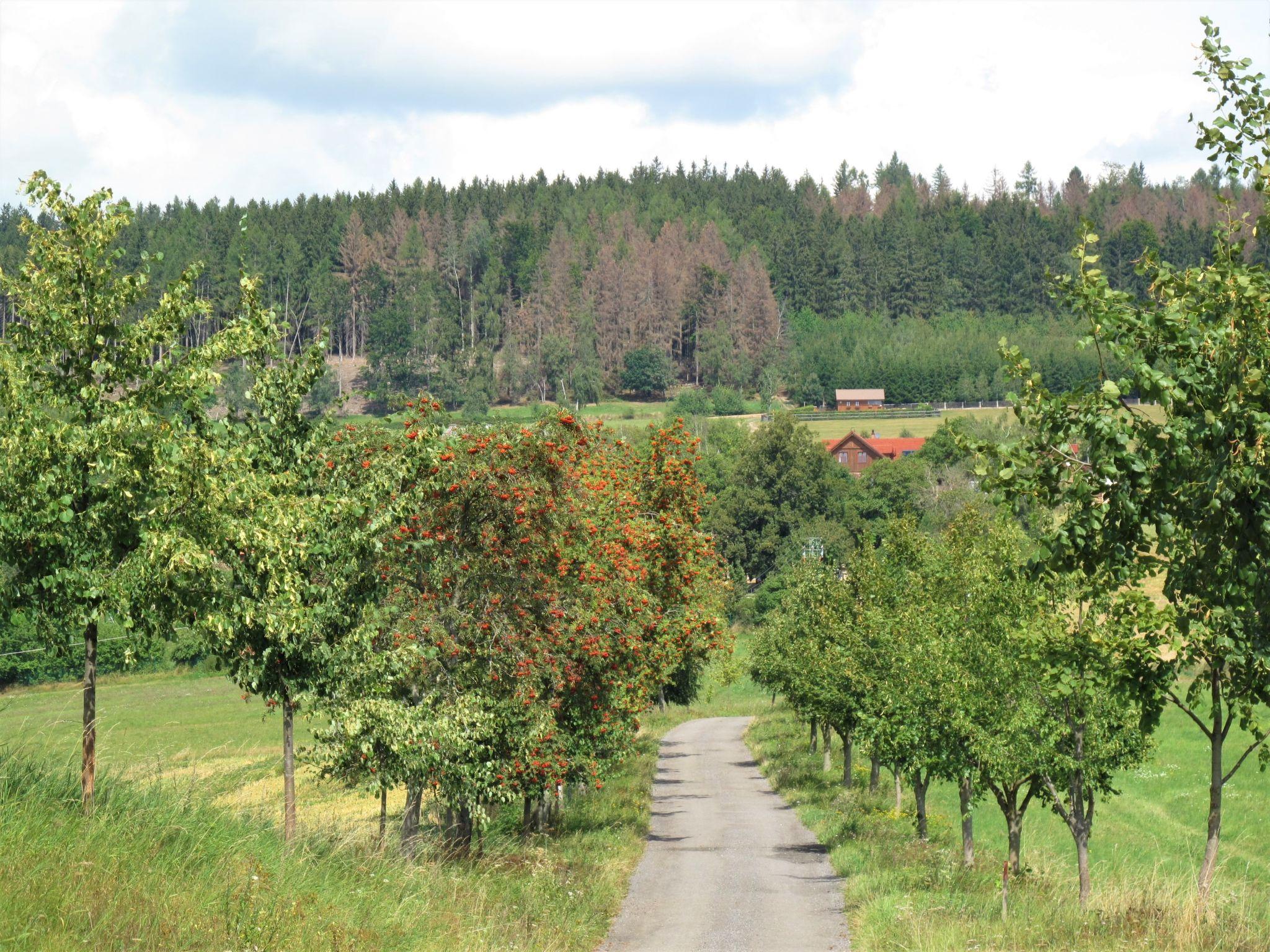 Foto 41 - Haus mit 7 Schlafzimmern in Úhlejov mit privater pool und blick auf die berge