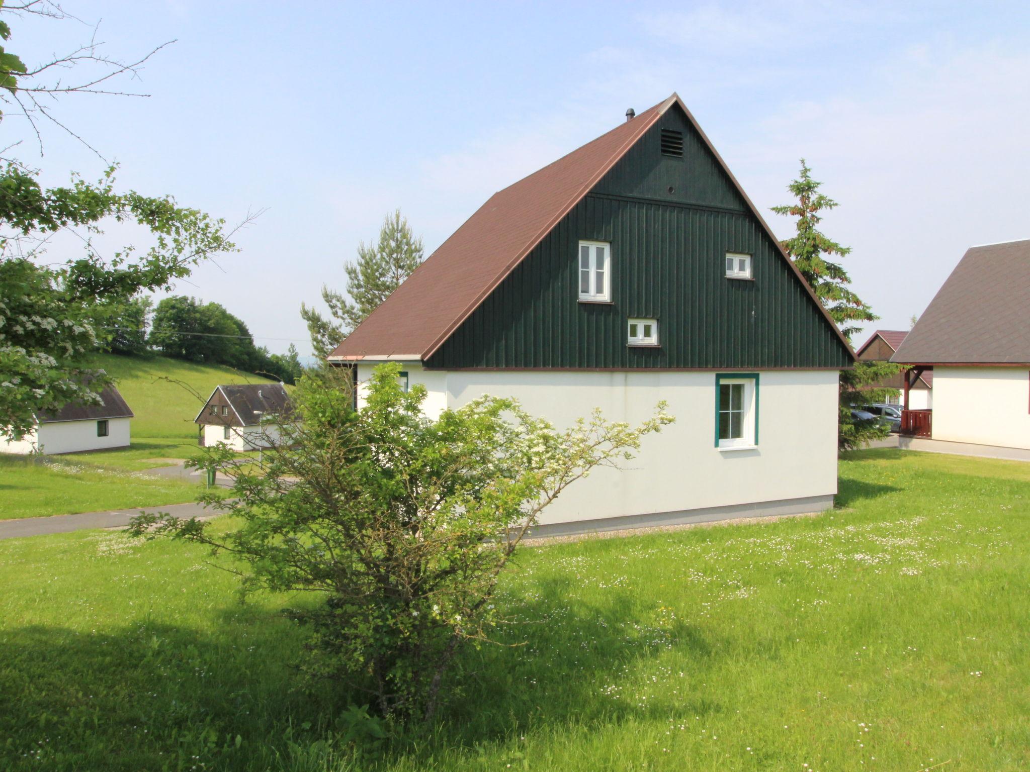 Foto 33 - Casa de 3 quartos em Černý Důl com piscina e jardim