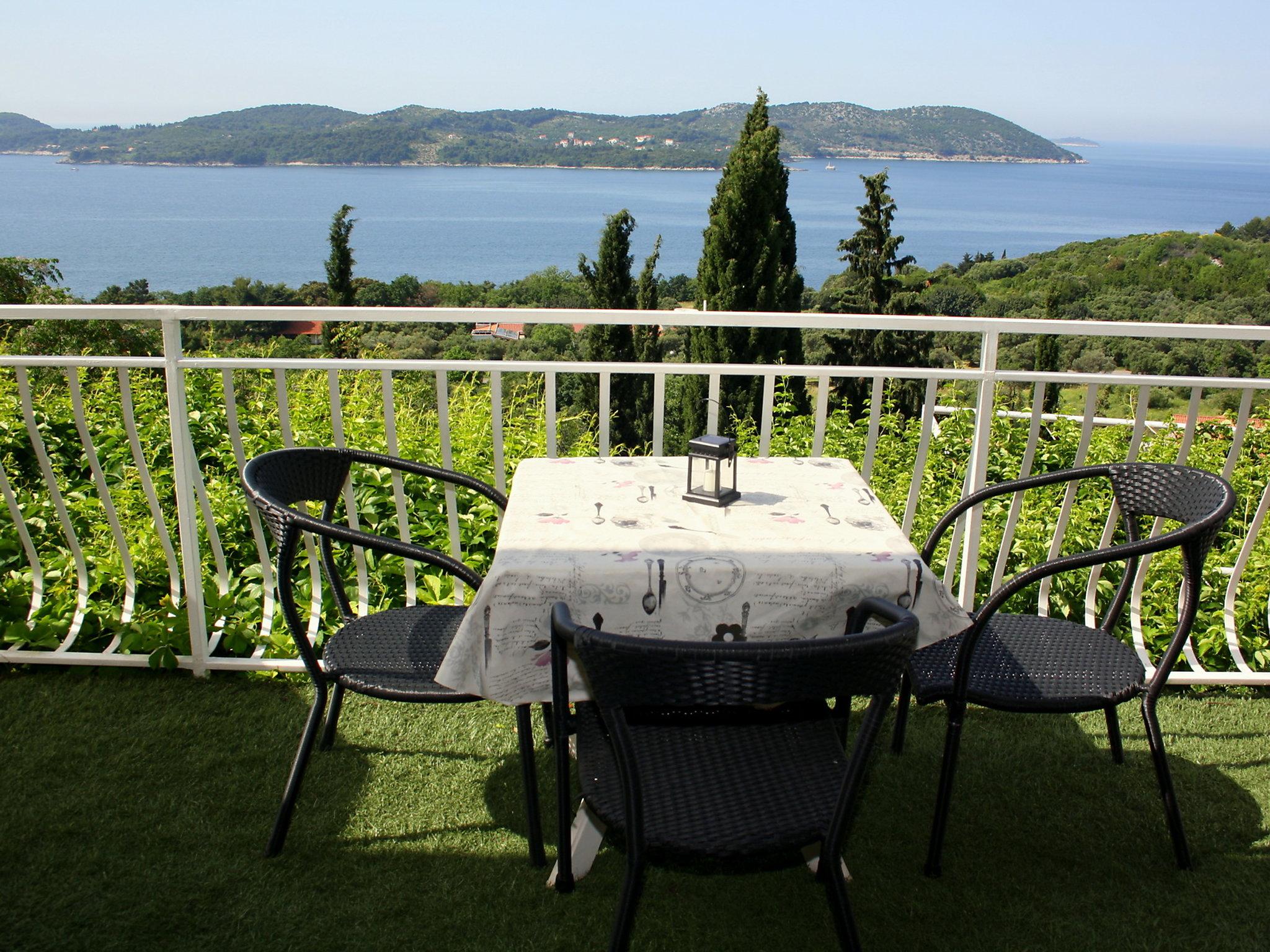 Photo 3 - 1 bedroom Apartment in Dubrovnik with swimming pool and sea view