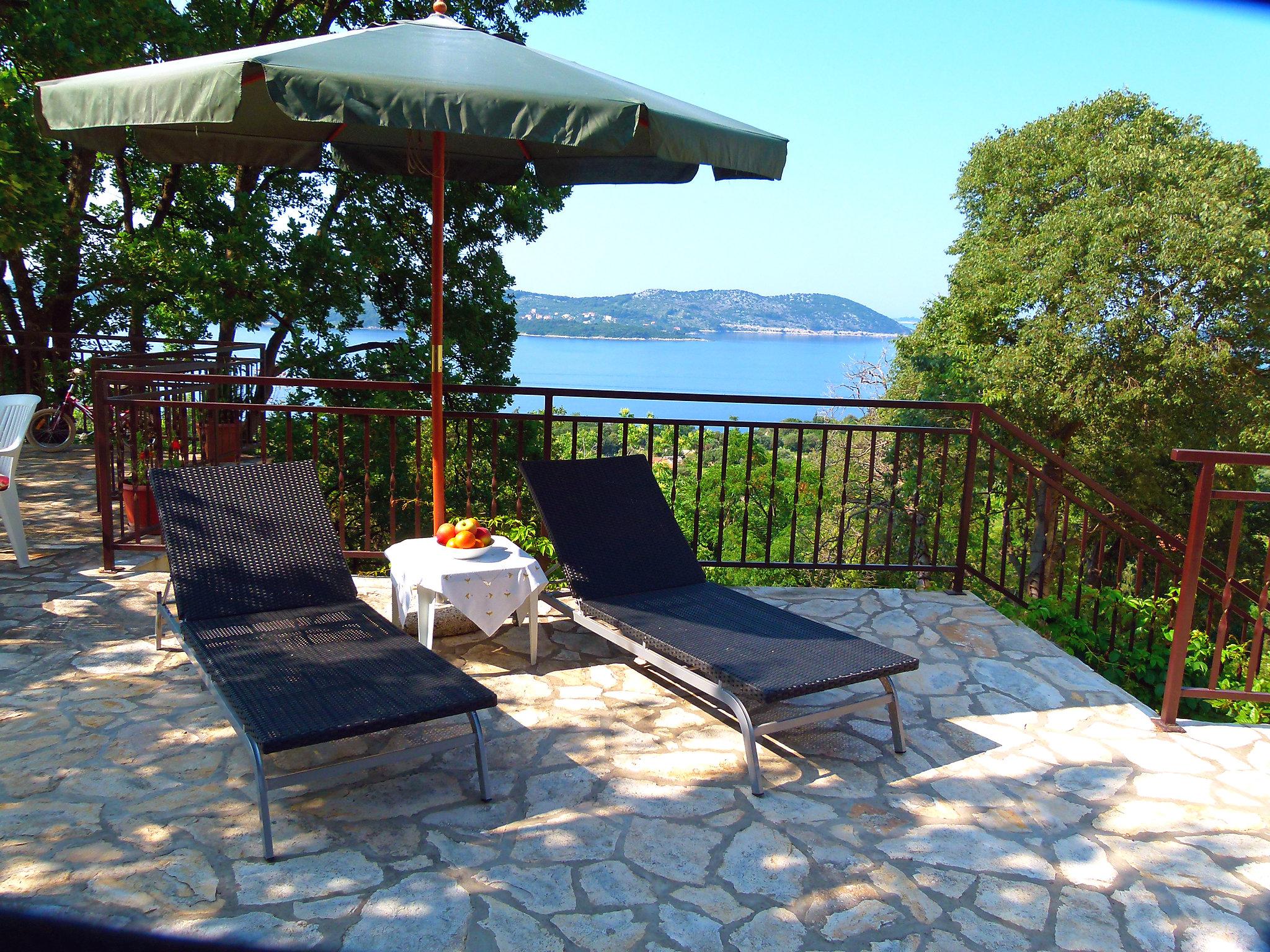 Foto 13 - Apartamento de 1 habitación en Dubrovnik con piscina y vistas al mar