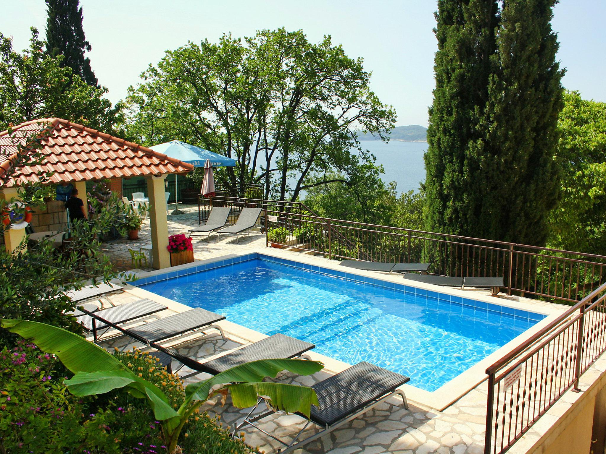 Photo 1 - Appartement de 2 chambres à Dubrovnik avec piscine et jardin