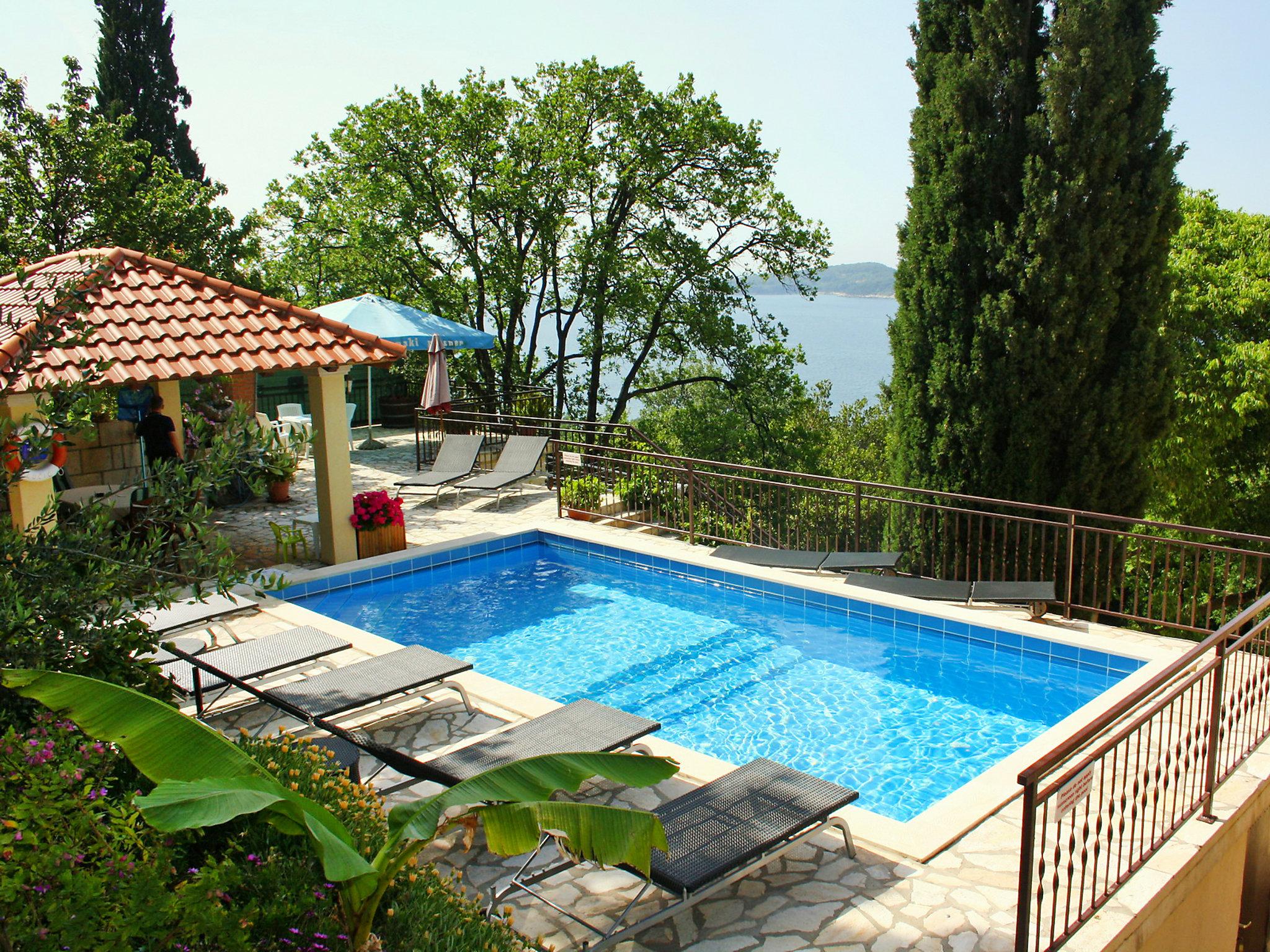 Foto 1 - Apartamento de 1 quarto em Dubrovnik com piscina e vistas do mar