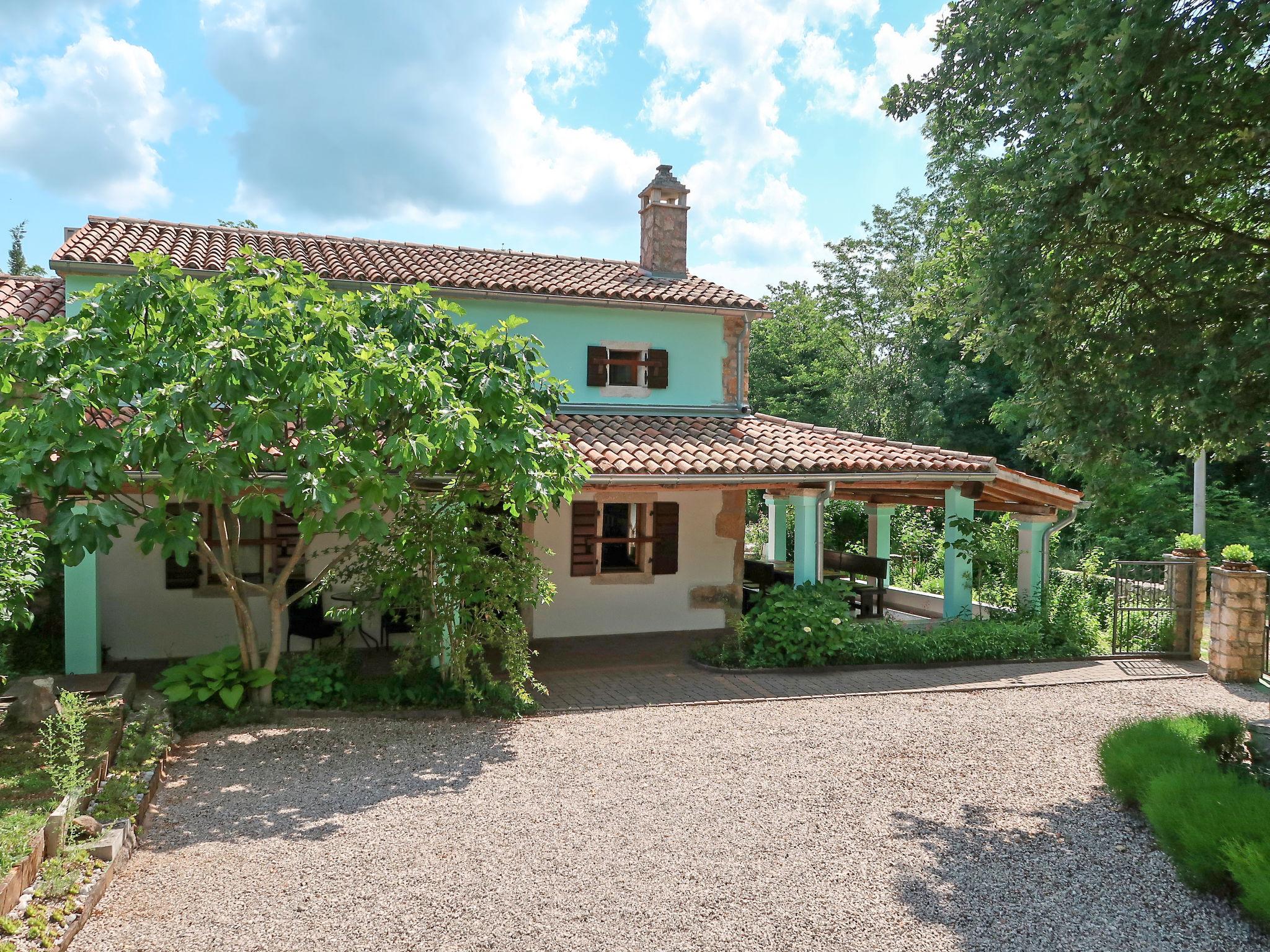 Foto 2 - Casa con 3 camere da letto a Sveta Nedelja con piscina privata e vista mare