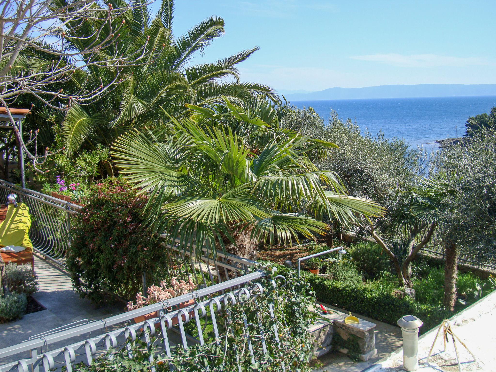 Photo 18 - Maison de 1 chambre à Selca avec terrasse et vues à la mer