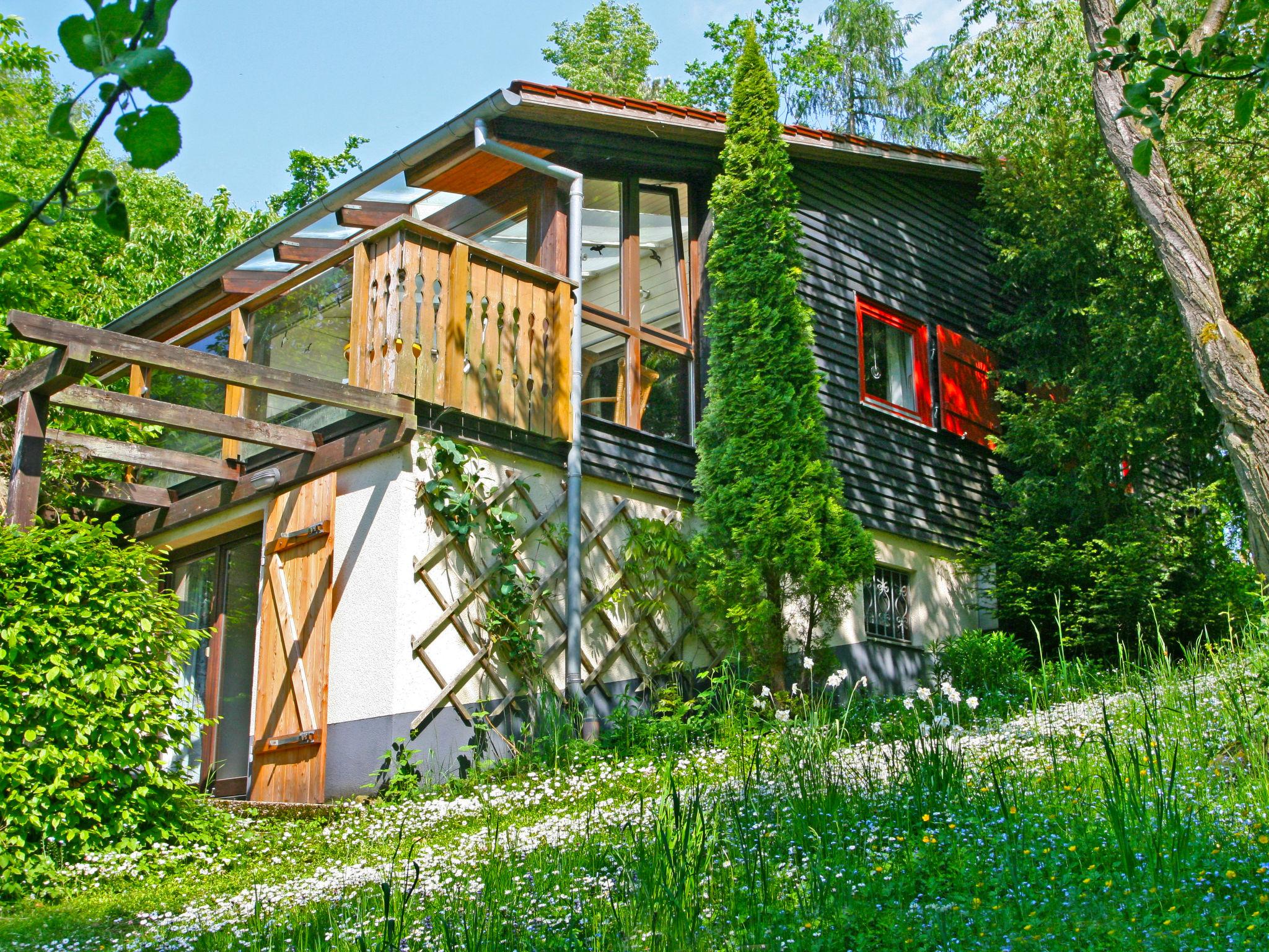 Foto 30 - Haus mit 3 Schlafzimmern in Wabern mit garten und blick auf die berge