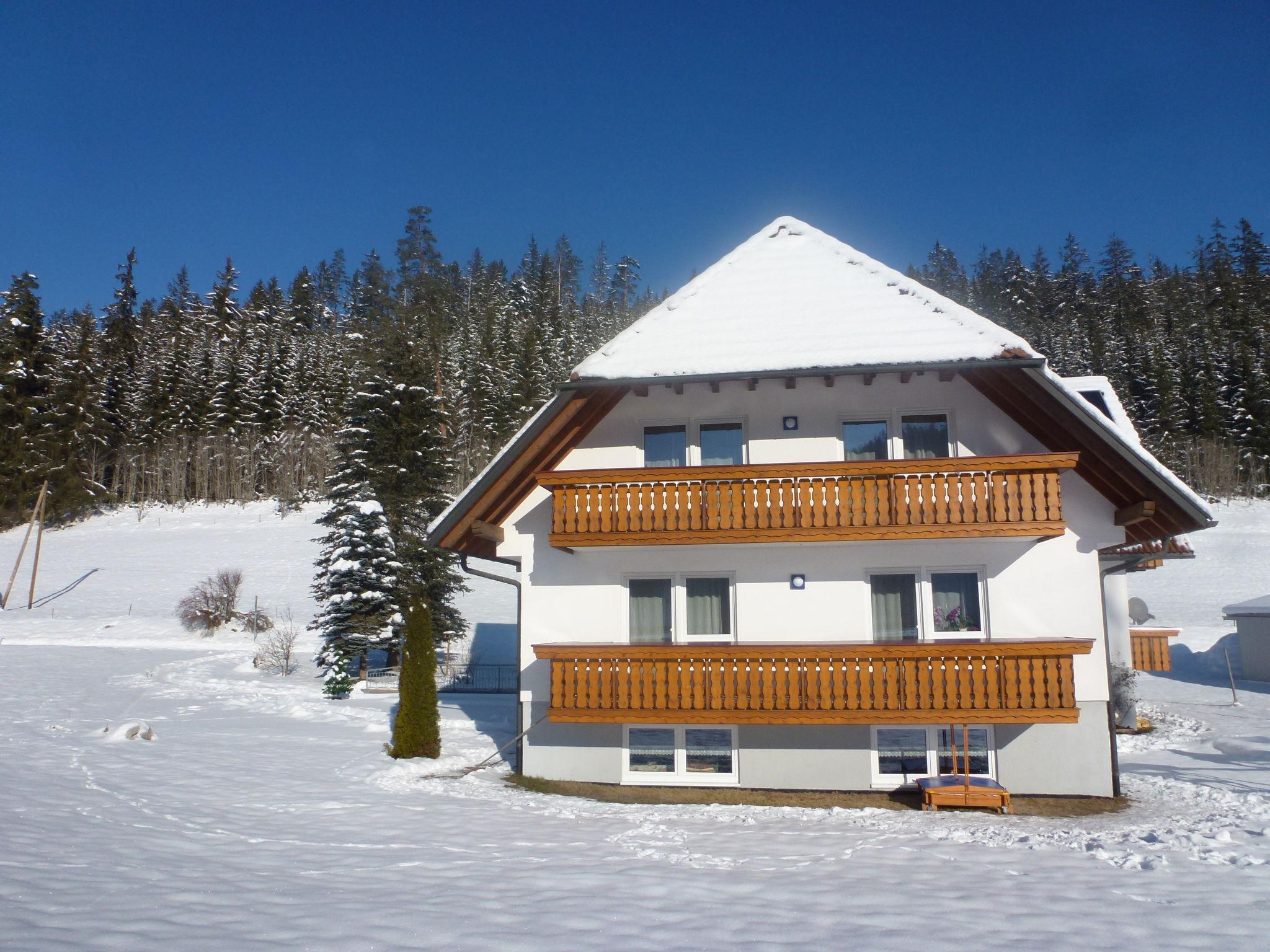 Photo 19 - Appartement de 3 chambres à Eisenbach (Hochschwarzwald) avec vues sur la montagne