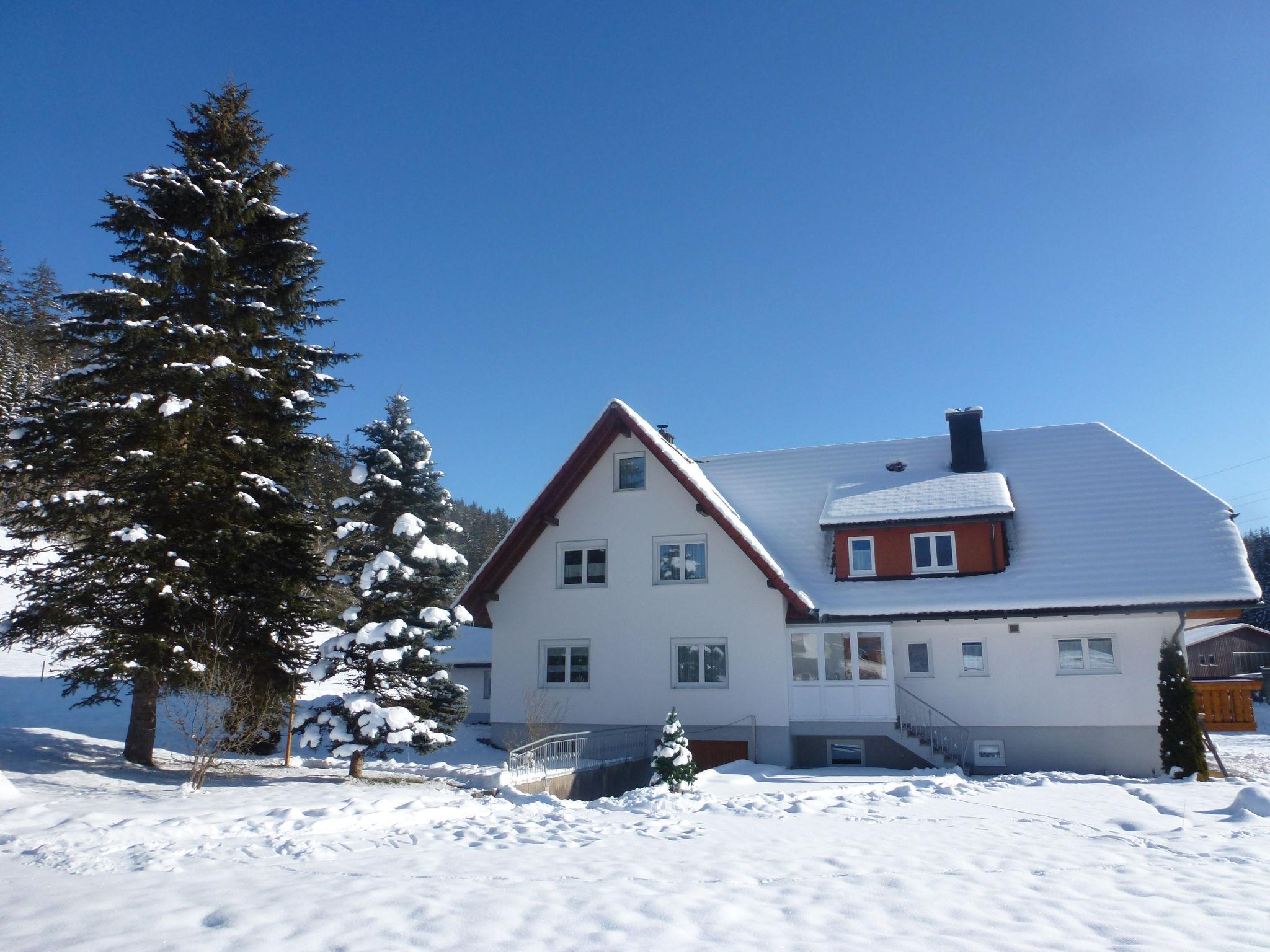 Photo 18 - Appartement de 3 chambres à Eisenbach (Hochschwarzwald) avec vues sur la montagne