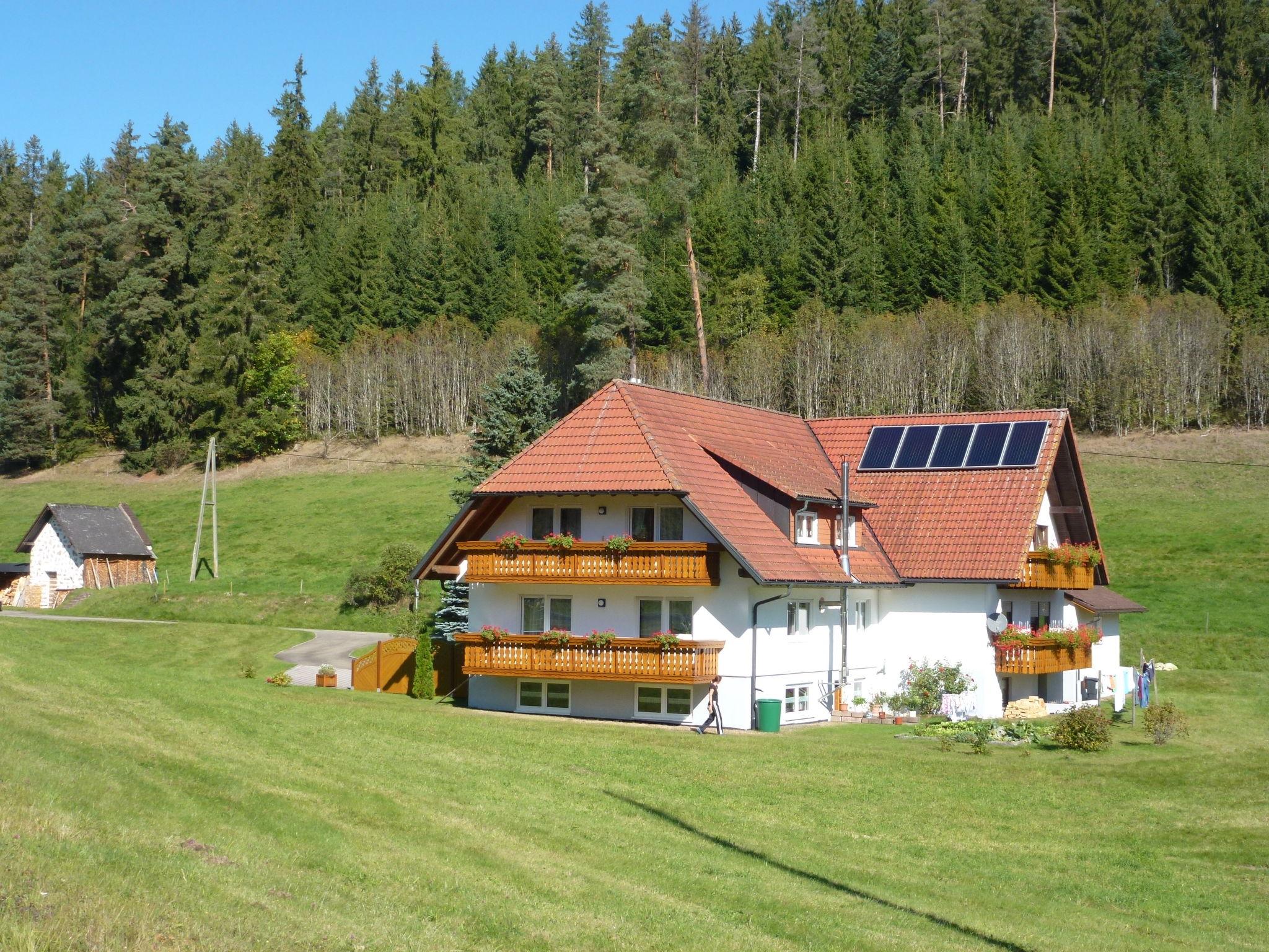 Foto 15 - Apartamento de 3 quartos em Eisenbach (Hochschwarzwald) com vista para a montanha