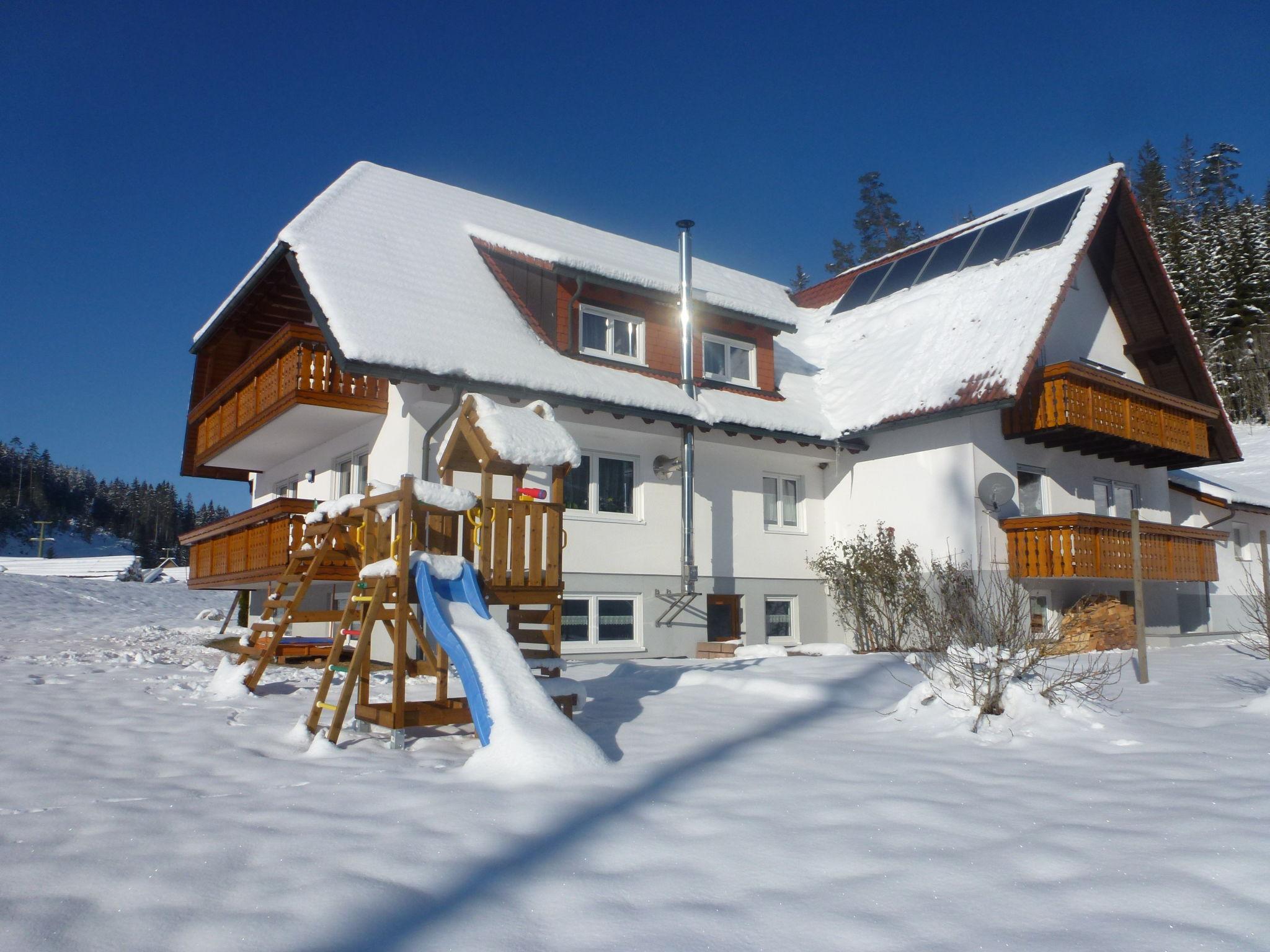 Foto 17 - Apartamento de 3 quartos em Eisenbach (Hochschwarzwald) com vista para a montanha