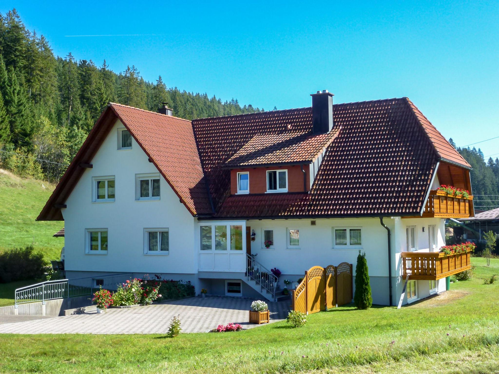 Foto 1 - Apartamento de 3 habitaciones en Eisenbach (Hochschwarzwald) con vistas a la montaña