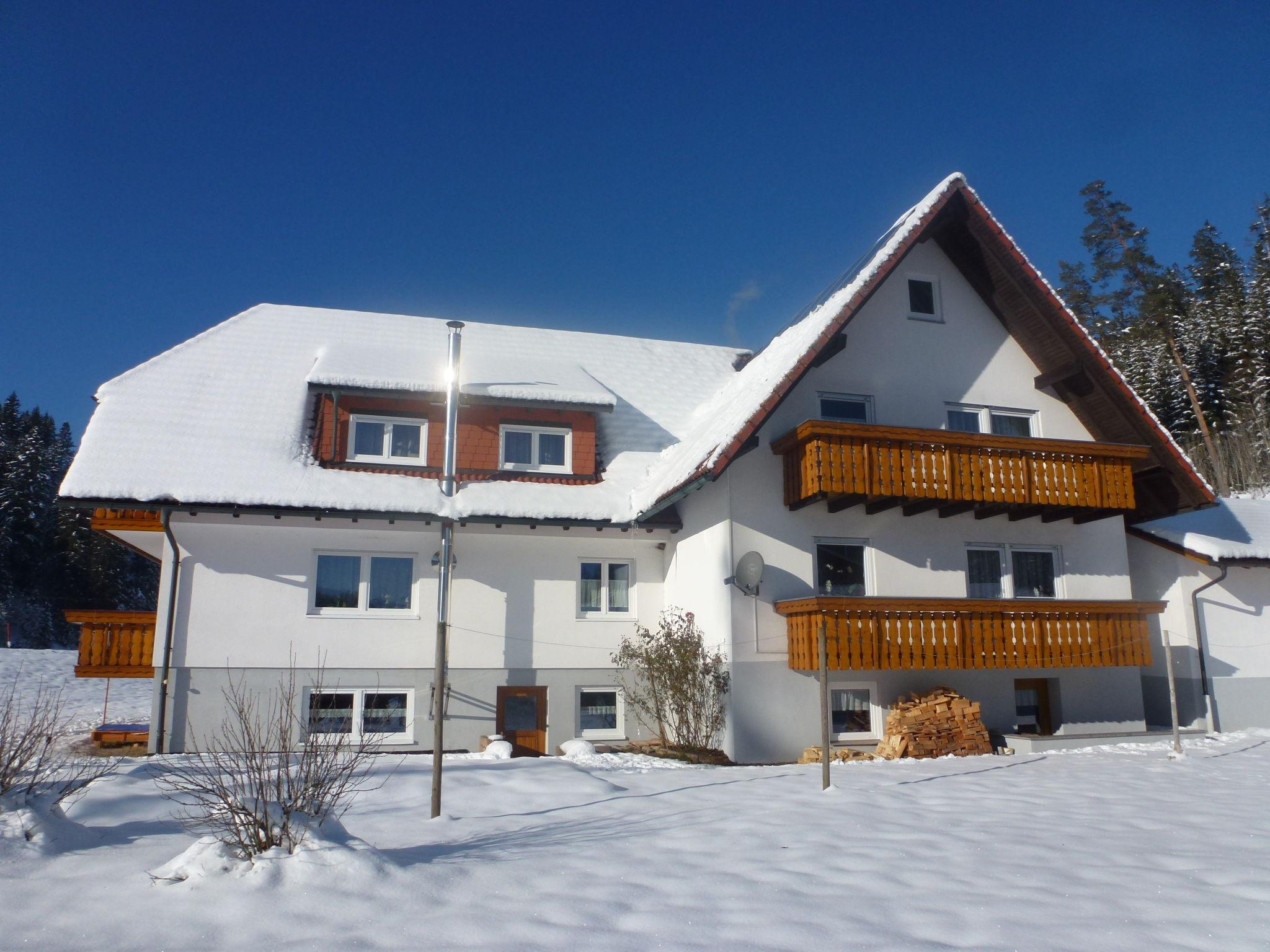 Photo 20 - Appartement de 3 chambres à Eisenbach (Hochschwarzwald) avec jardin