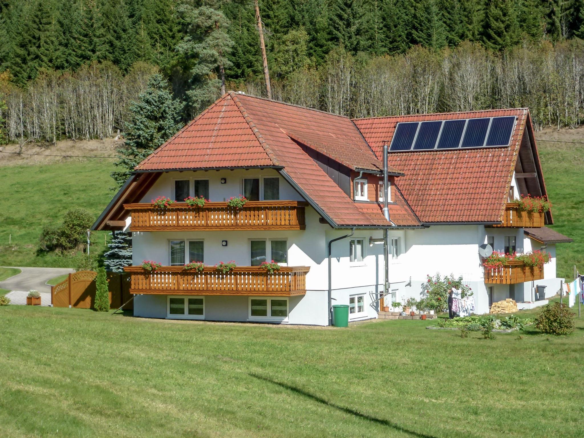 Foto 16 - Apartment mit 3 Schlafzimmern in Eisenbach (Hochschwarzwald) mit blick auf die berge