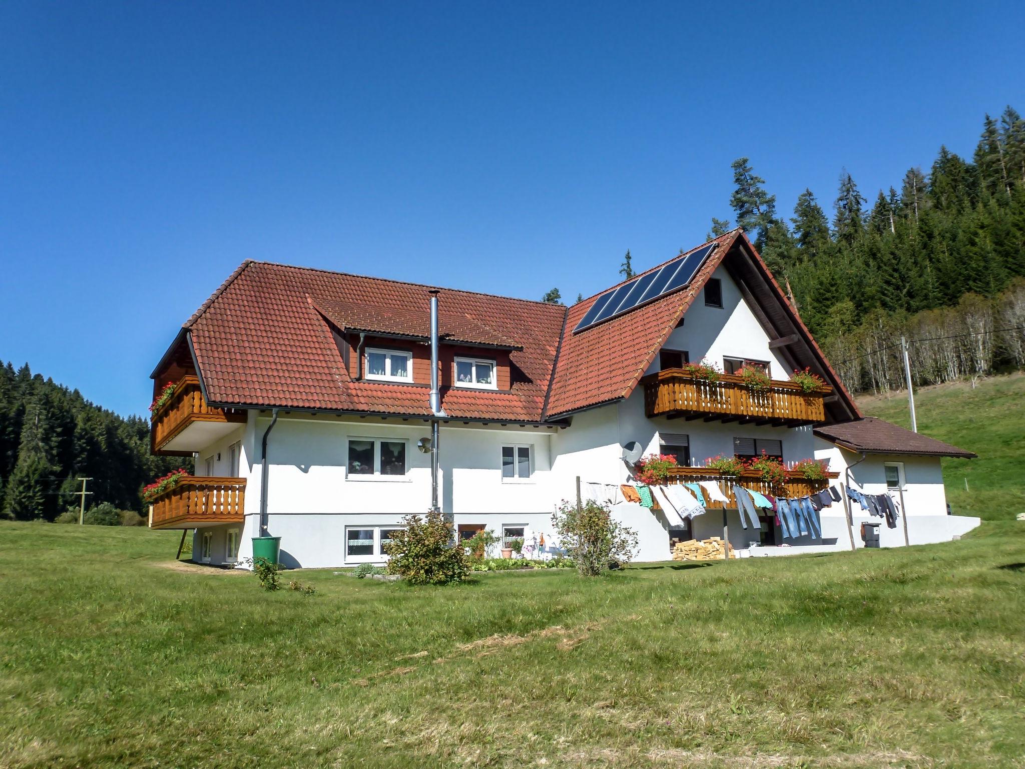 Foto 14 - Appartamento con 3 camere da letto a Eisenbach (Hochschwarzwald) con vista sulle montagne