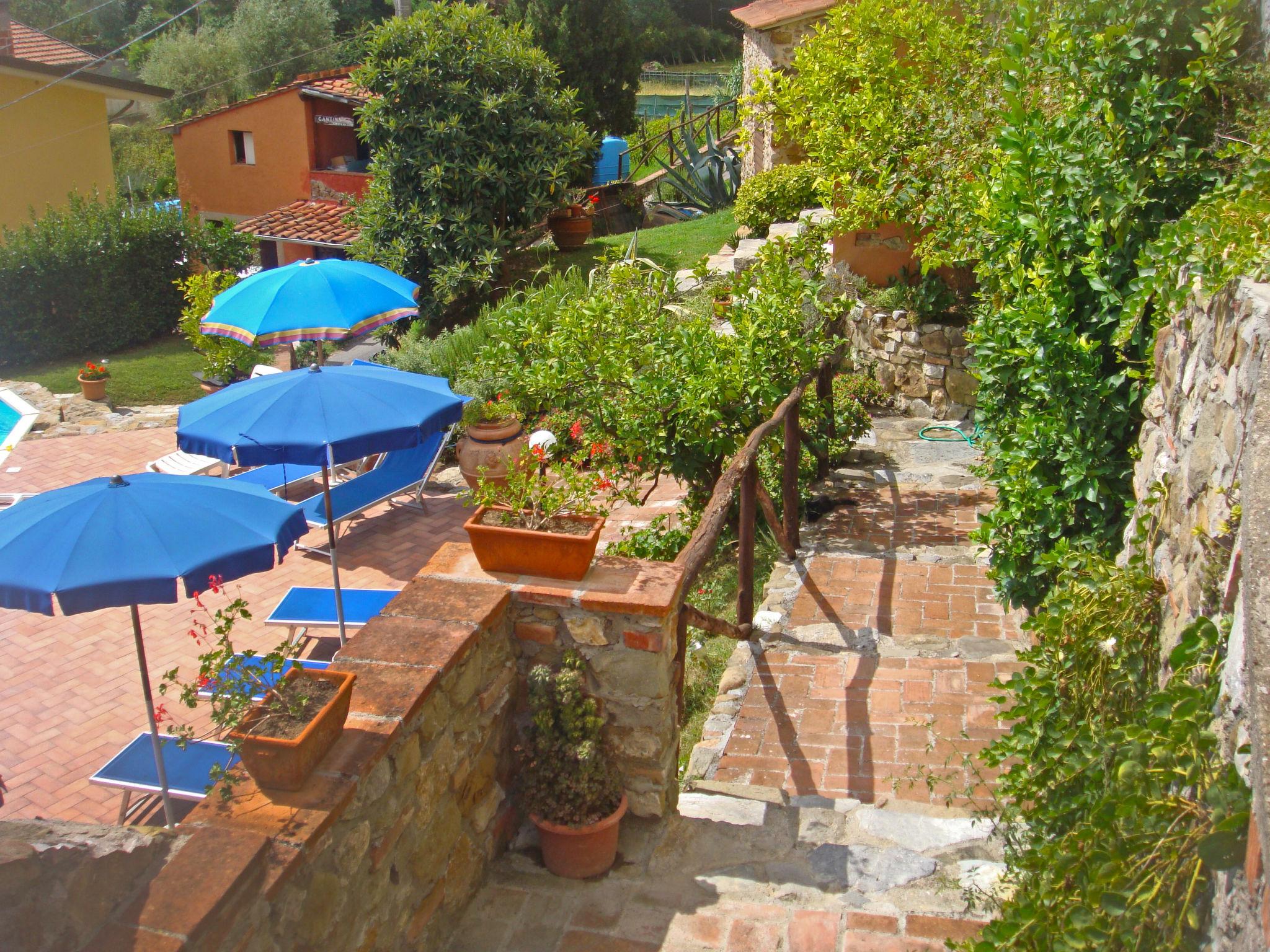 Photo 20 - 2 bedroom Apartment in Massarosa with swimming pool and garden