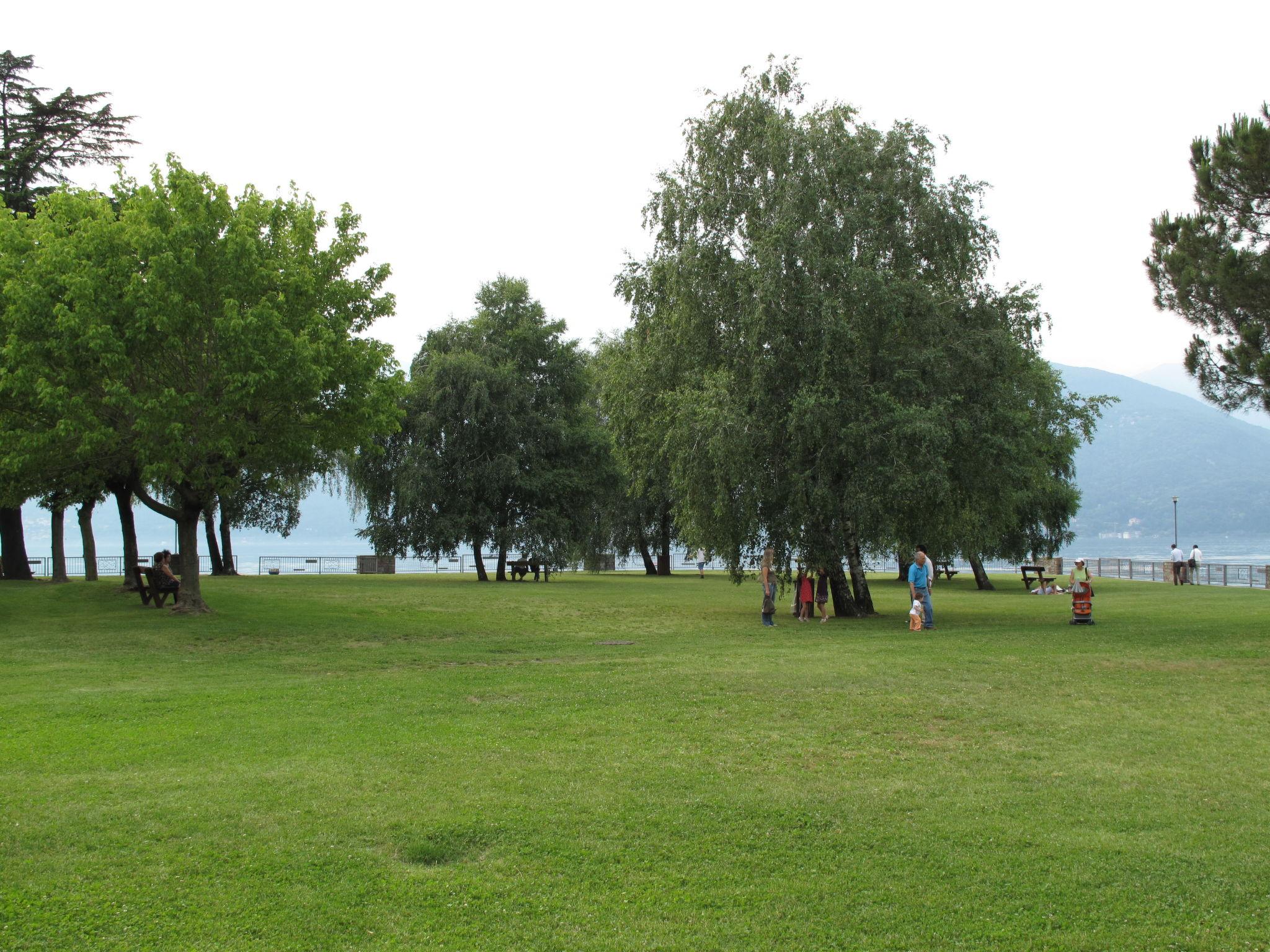 Foto 20 - Appartamento con 1 camera da letto a Luino con piscina e giardino