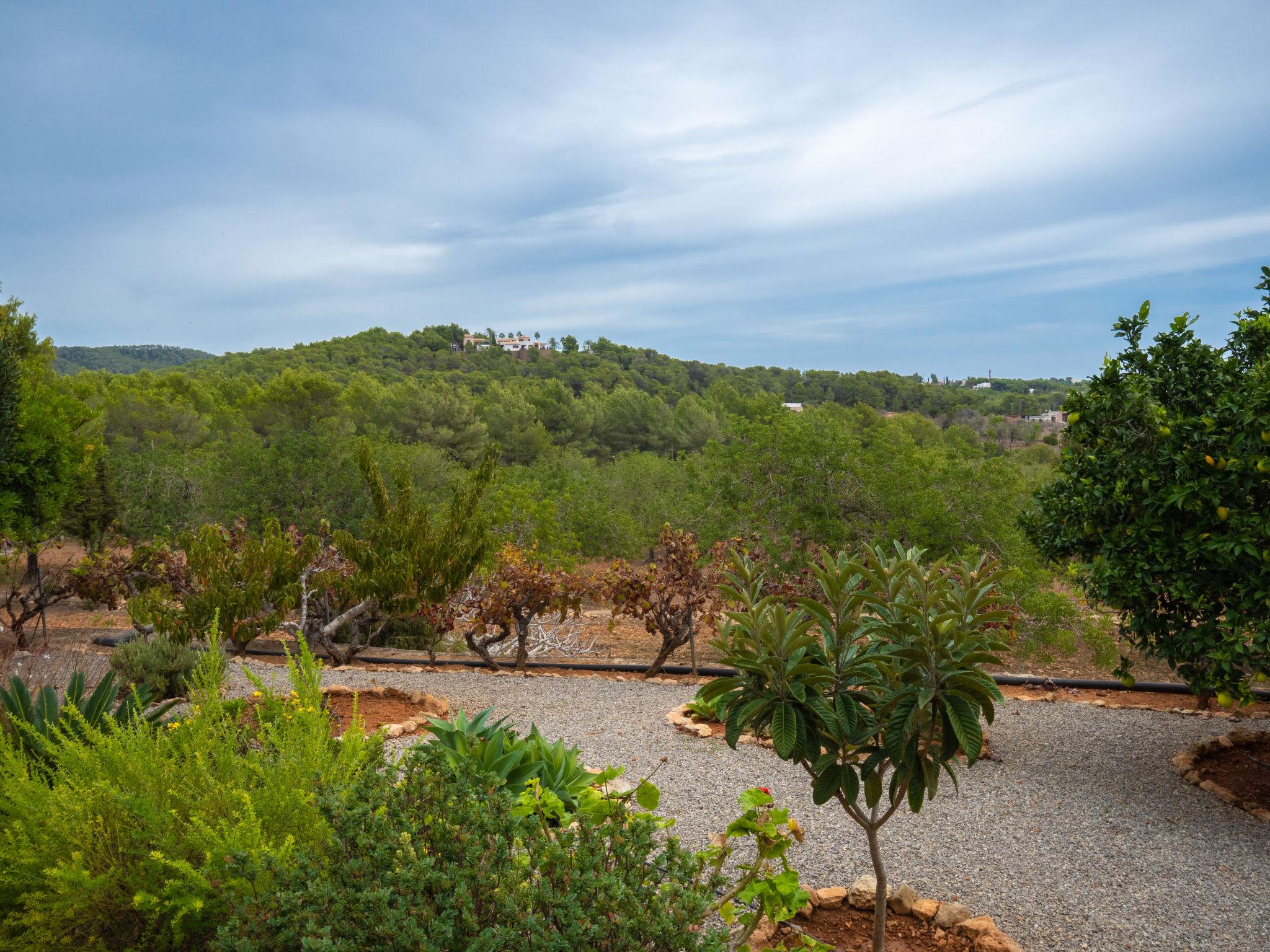 Foto 29 - Casa con 3 camere da letto a Santa Eulària des Riu con piscina privata e vista mare