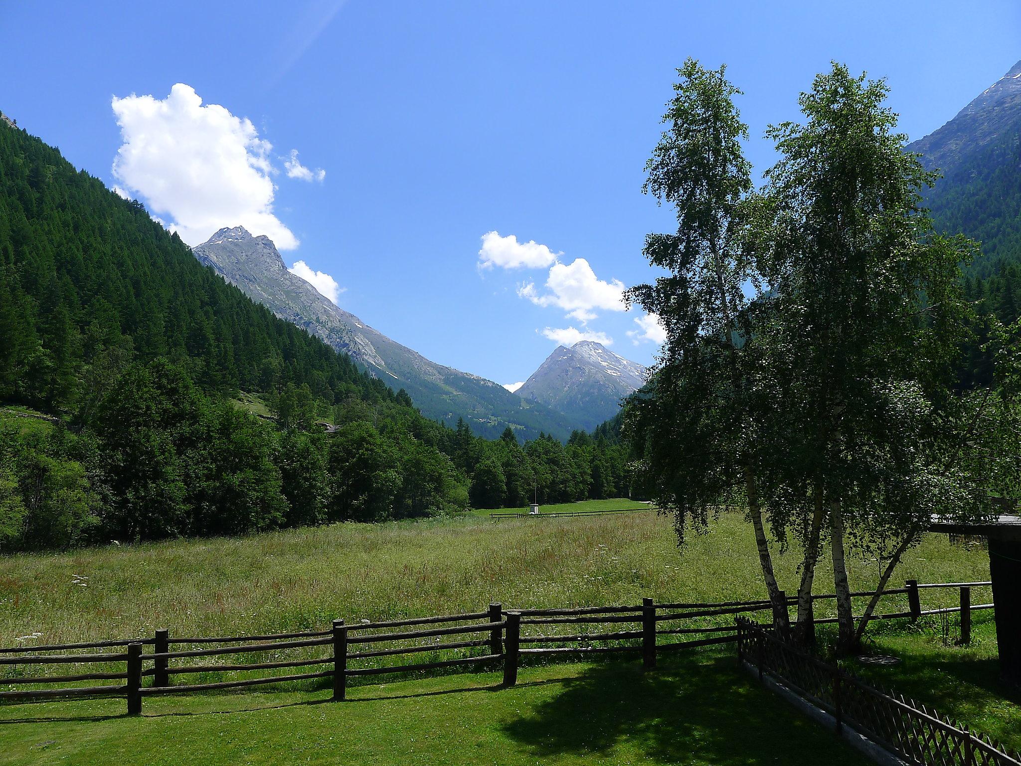 Photo 26 - Appartement de 3 chambres à Saas-Grund avec vues sur la montagne