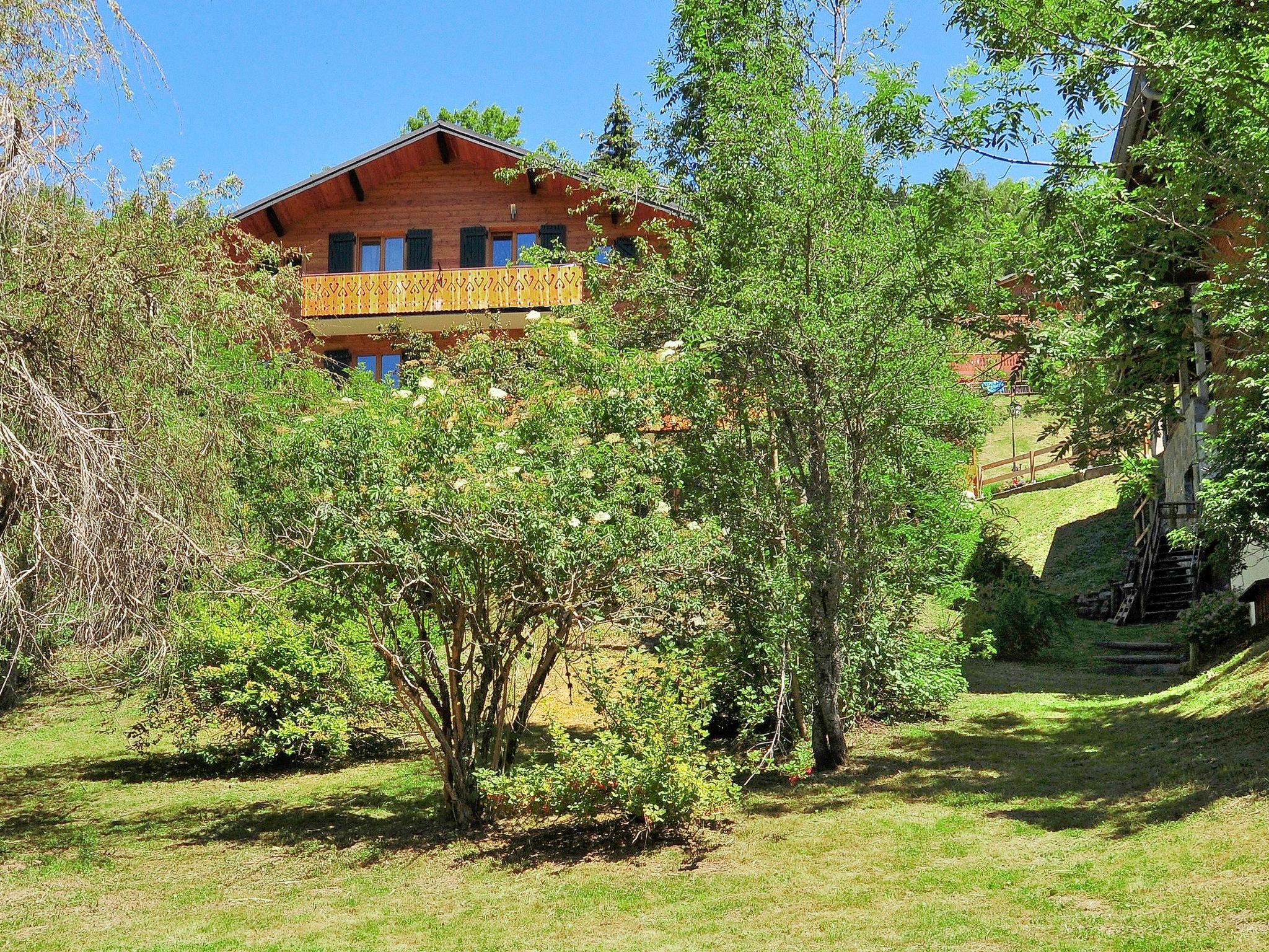 Foto 2 - Apartment mit 3 Schlafzimmern in Châtel mit terrasse und blick auf die berge