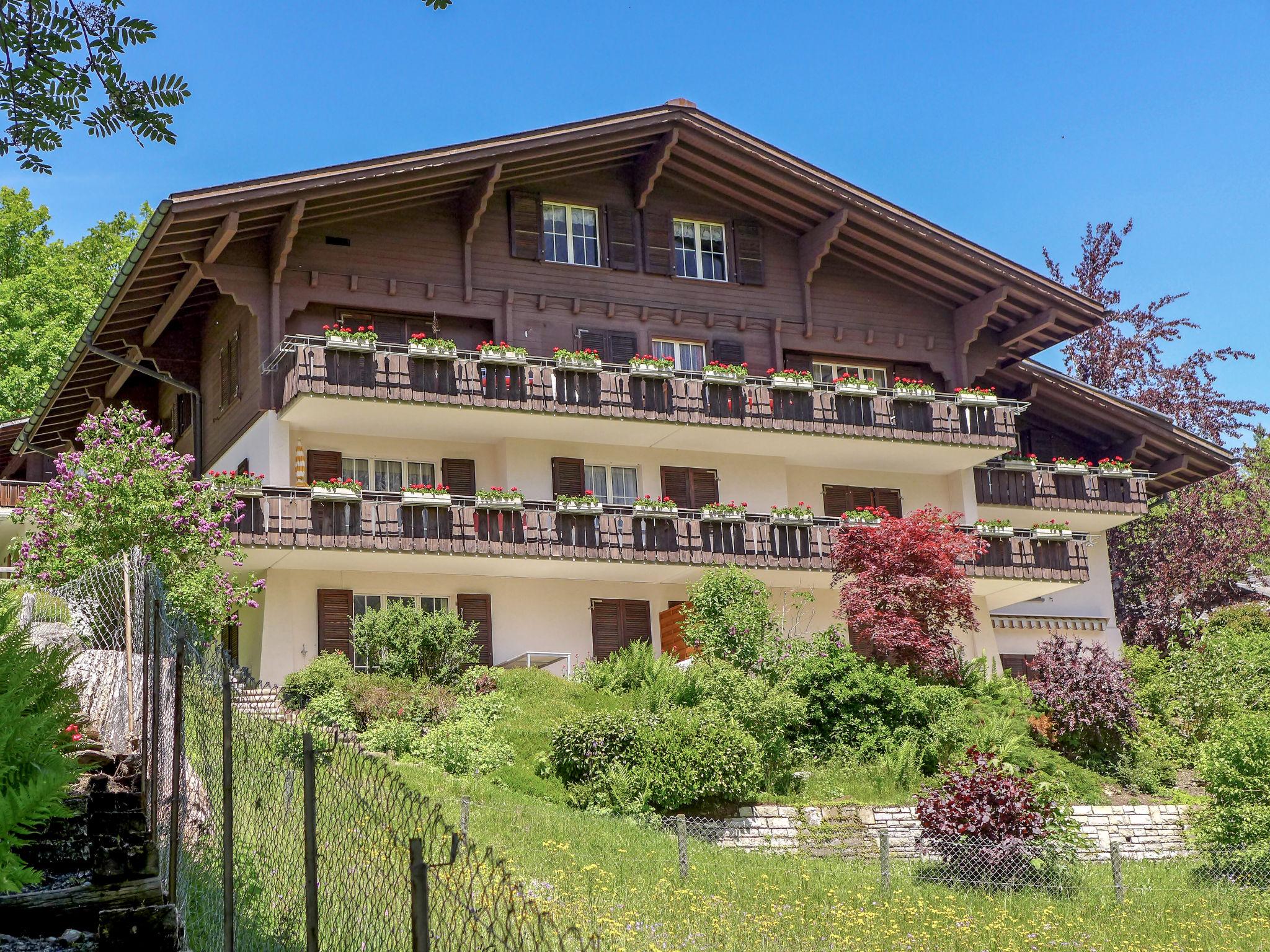 Foto 12 - Appartamento con 2 camere da letto a Grindelwald con vista sulle montagne