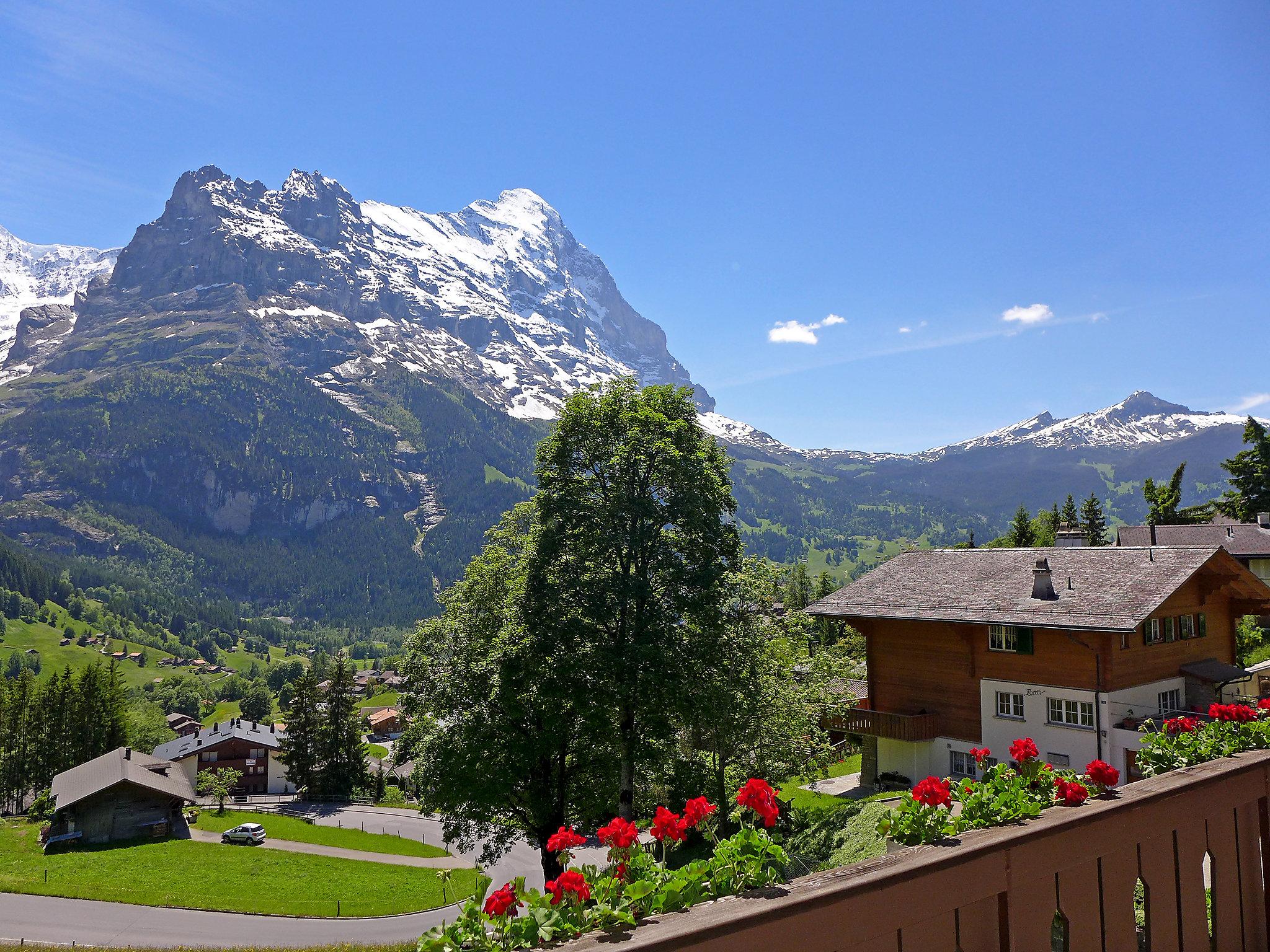 Foto 13 - Apartment mit 2 Schlafzimmern in Grindelwald mit blick auf die berge
