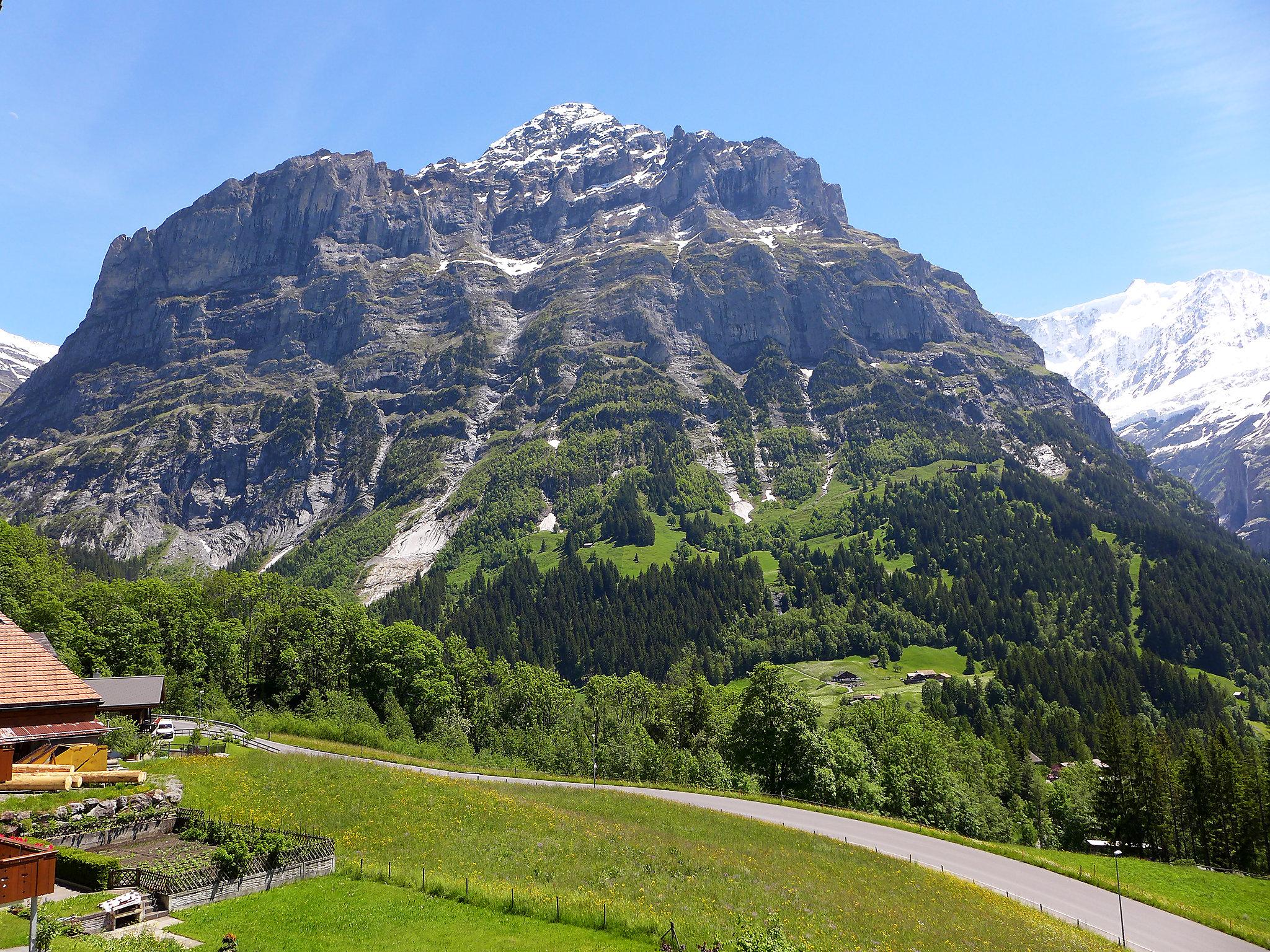 Foto 14 - Apartamento de 2 quartos em Grindelwald com vista para a montanha