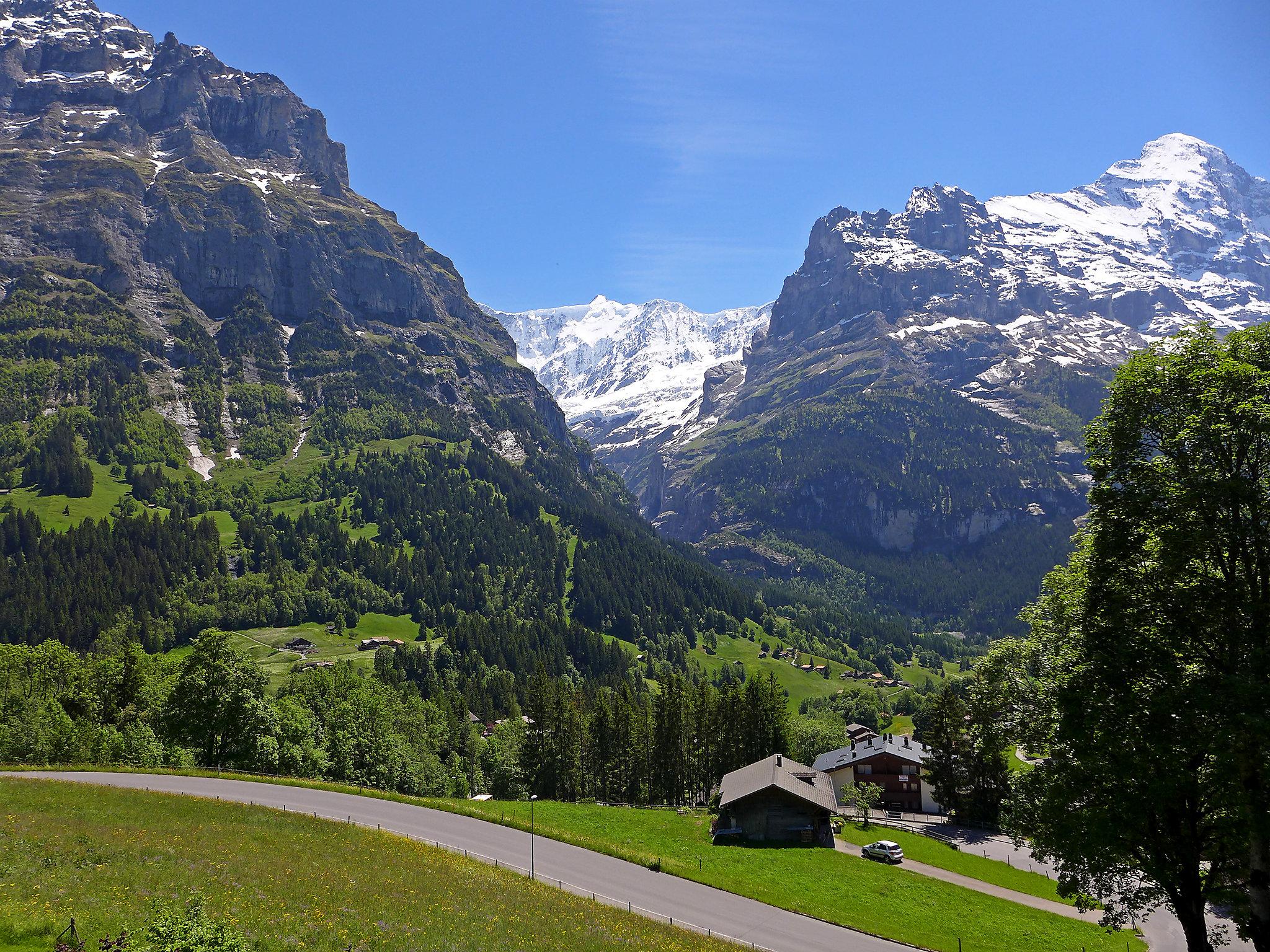 Foto 2 - Appartamento con 2 camere da letto a Grindelwald con vista sulle montagne