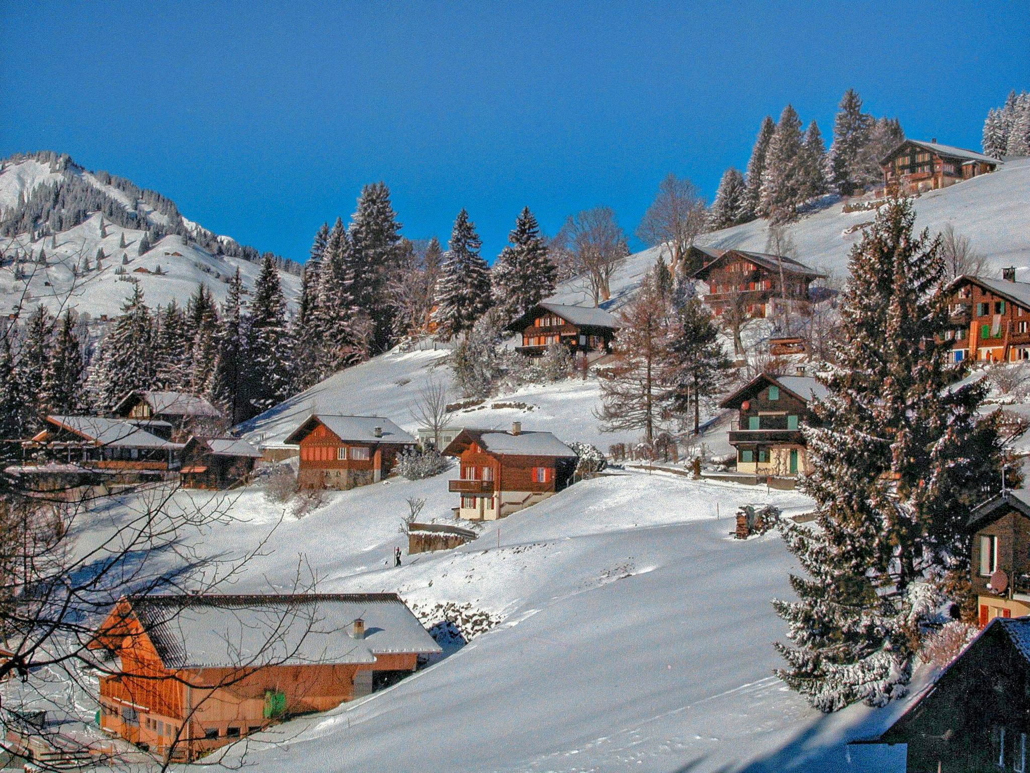 Photo 22 - Appartement de 1 chambre à Lauterbrunnen avec jardin