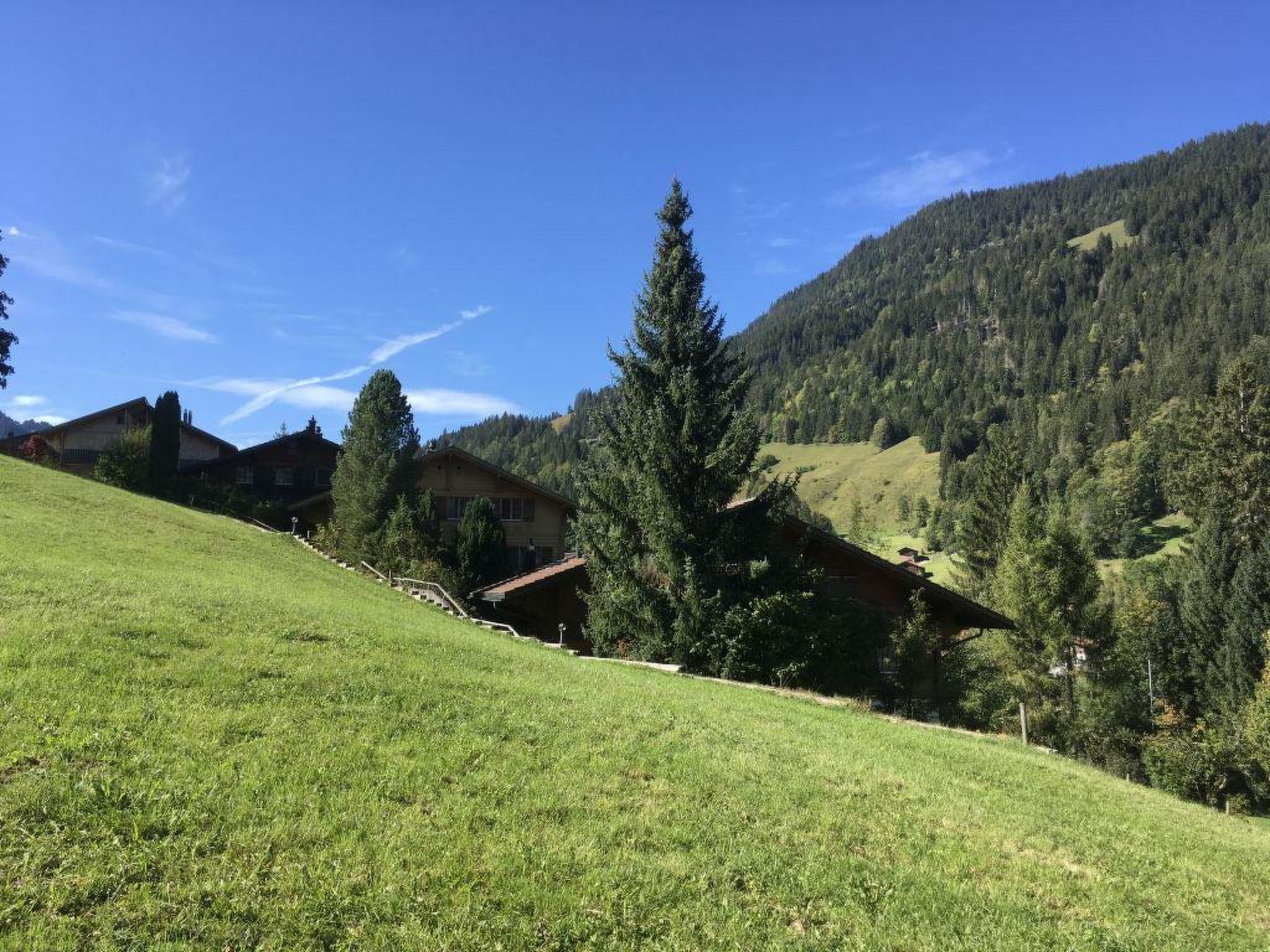 Photo 15 - 2 bedroom Apartment in Zweisimmen