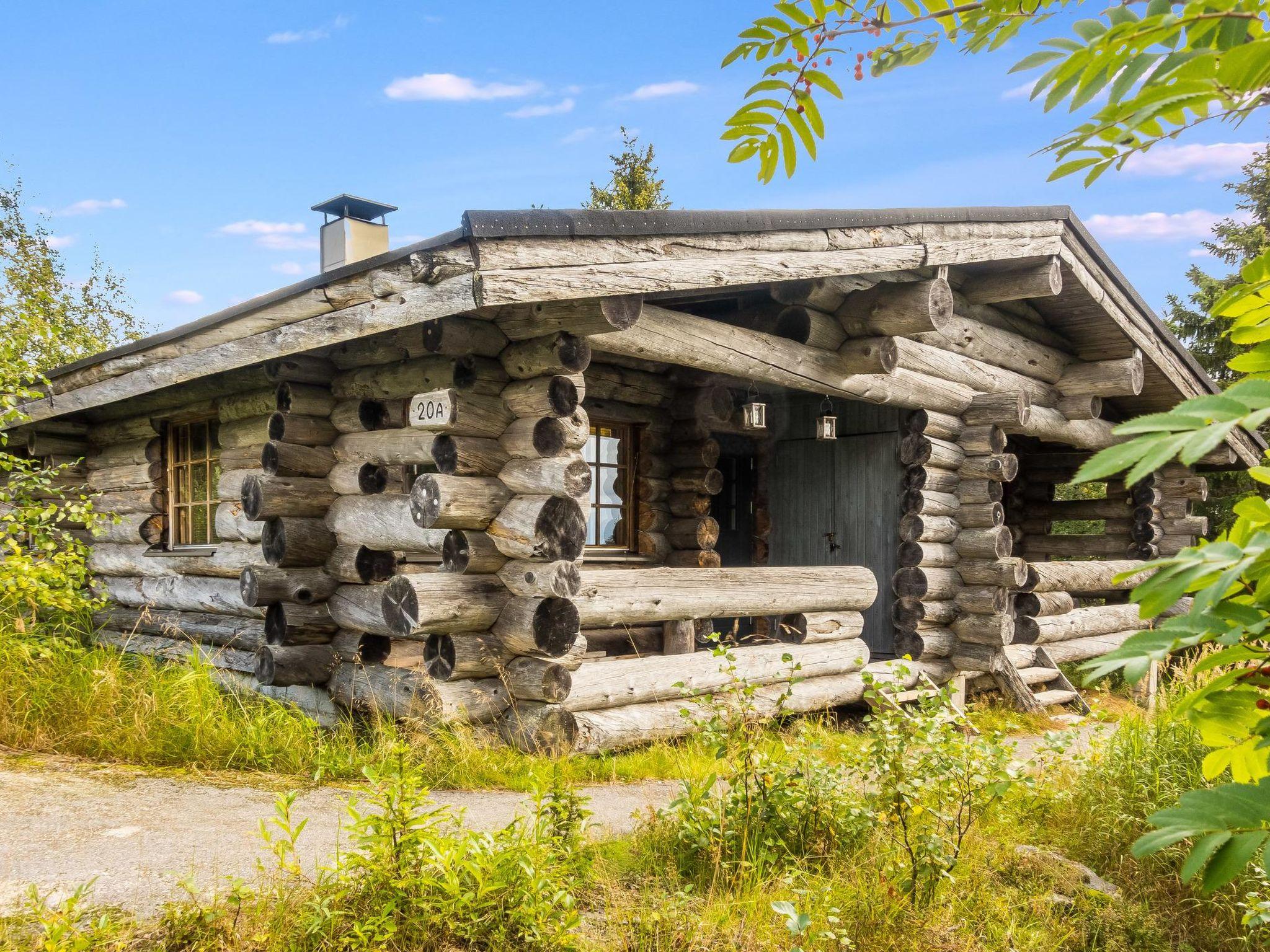 Foto 14 - Casa de 1 quarto em Pudasjärvi com sauna e vista para a montanha