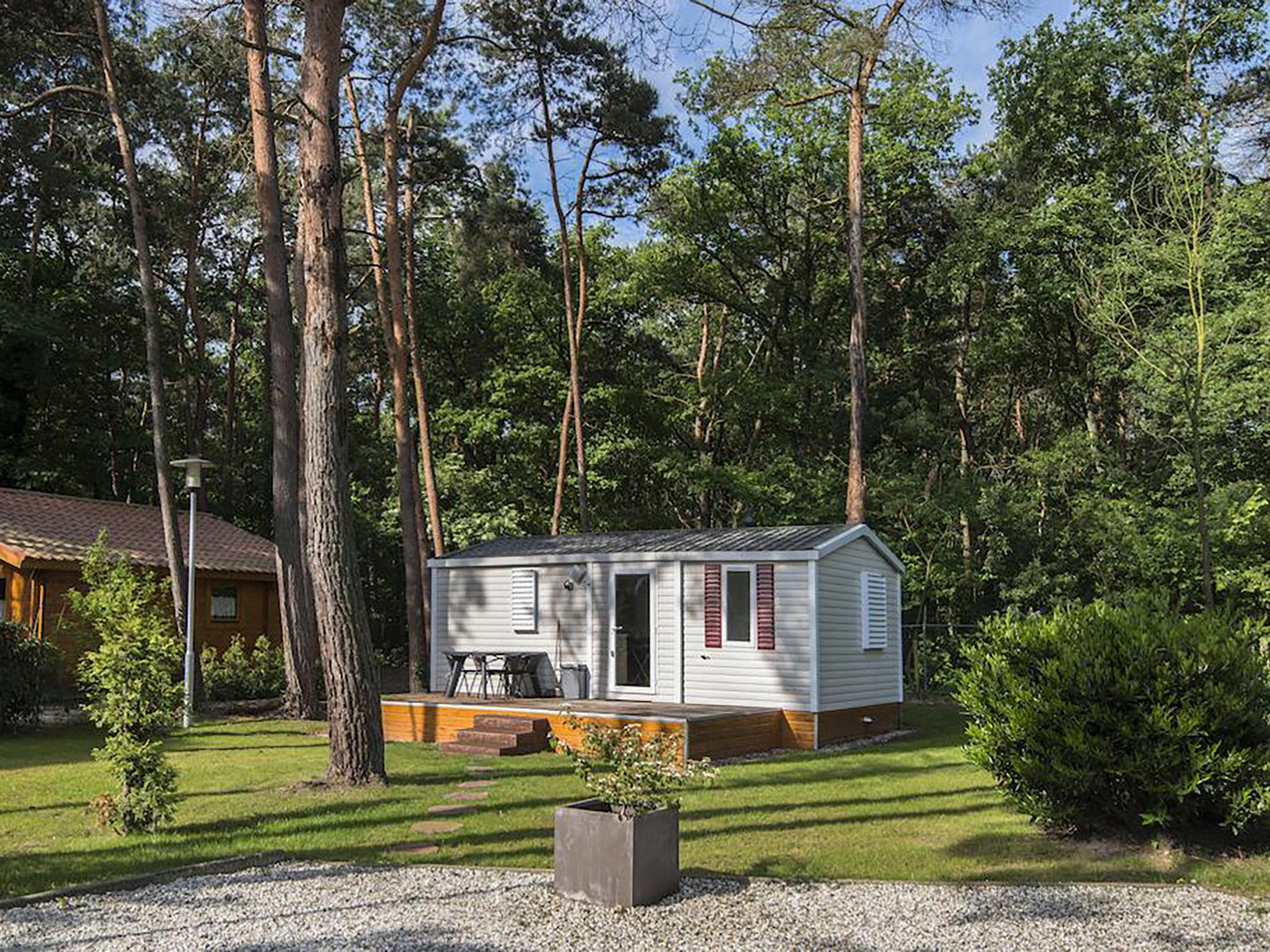 Photo 1 - Maison de 3 chambres à Schinveld avec jardin et terrasse