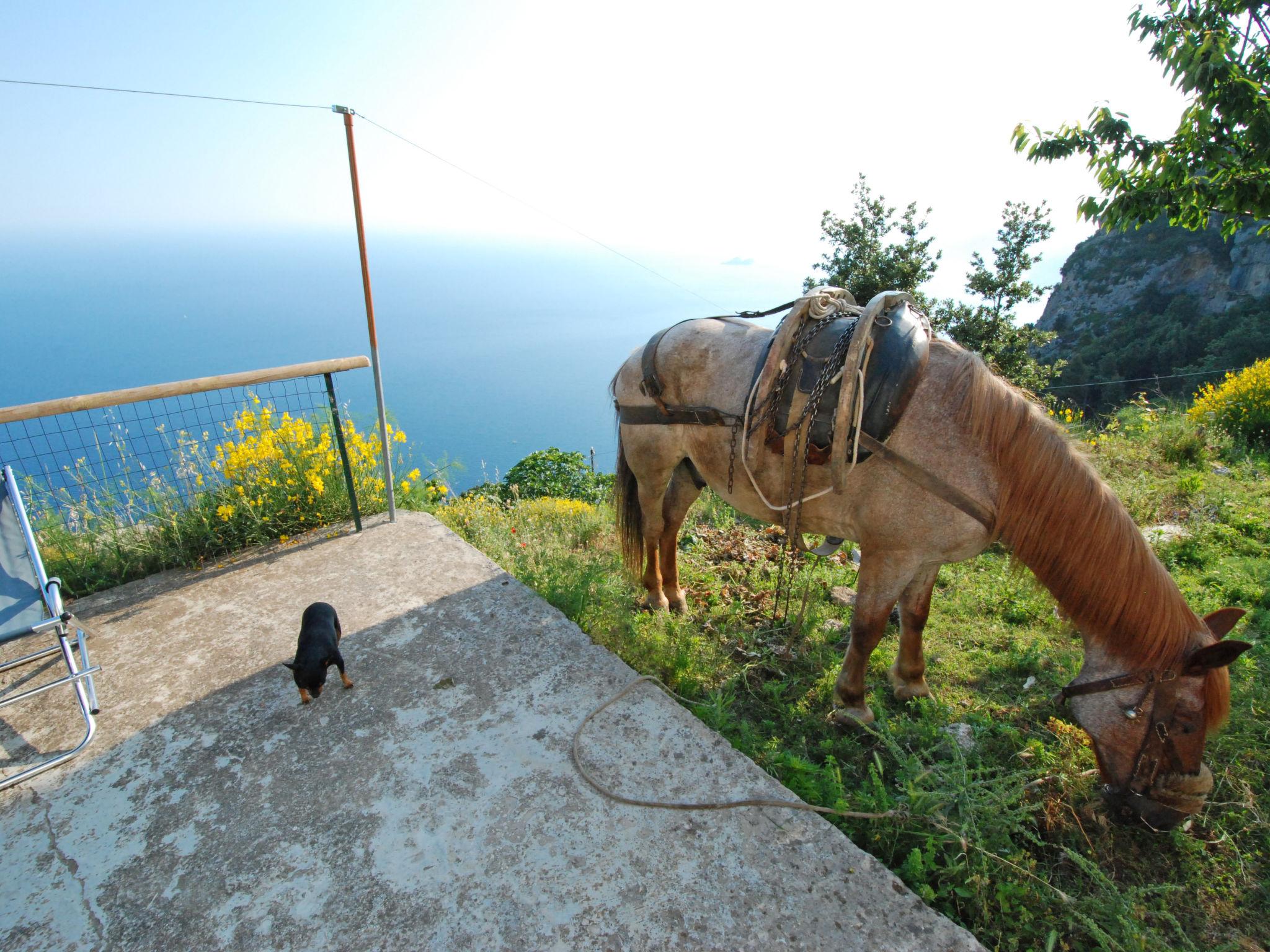 Foto 17 - Haus mit 2 Schlafzimmern in Praiano mit garten und blick aufs meer