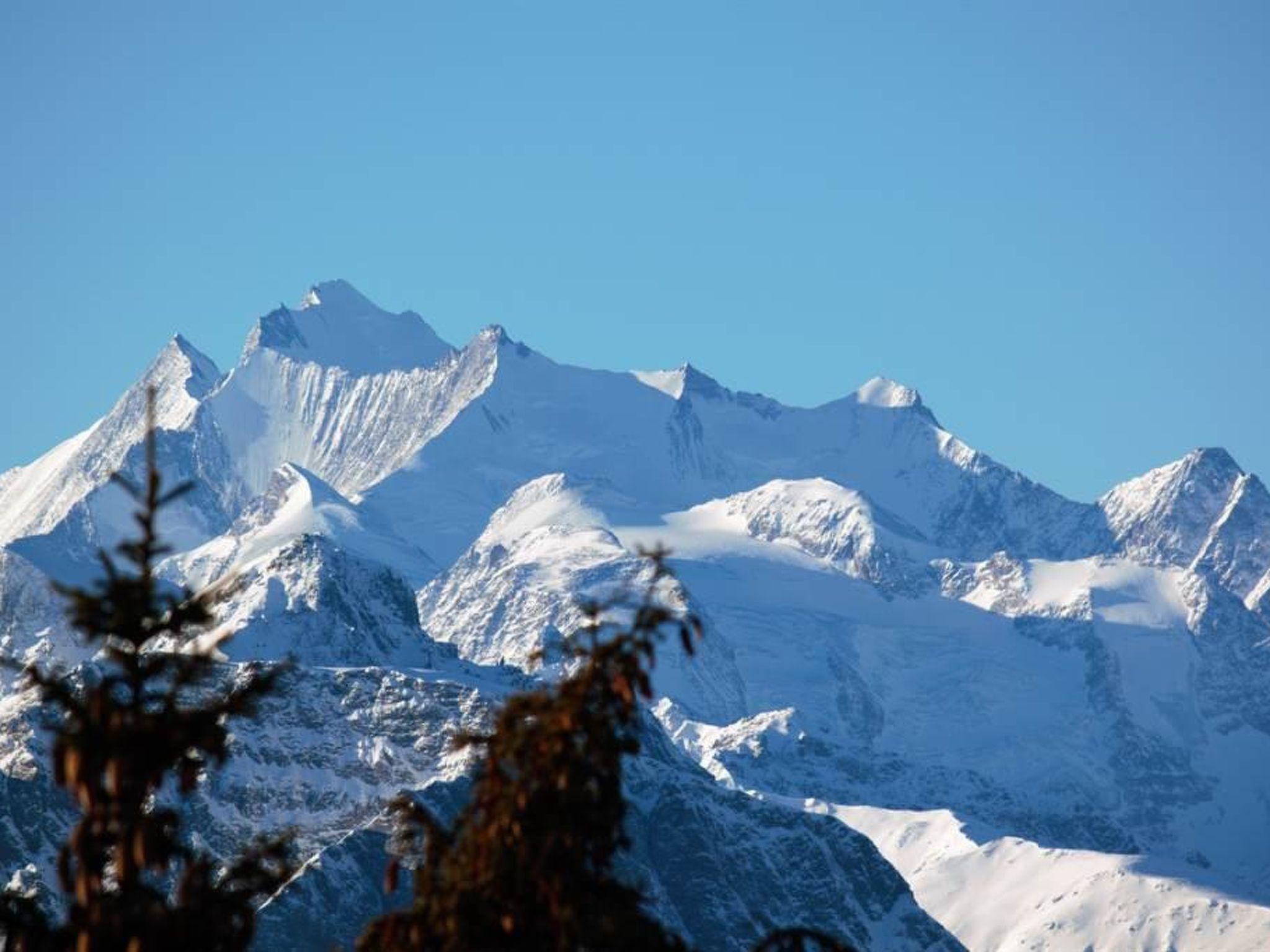 Foto 6 - Apartamento de 1 quarto em Bettmeralp