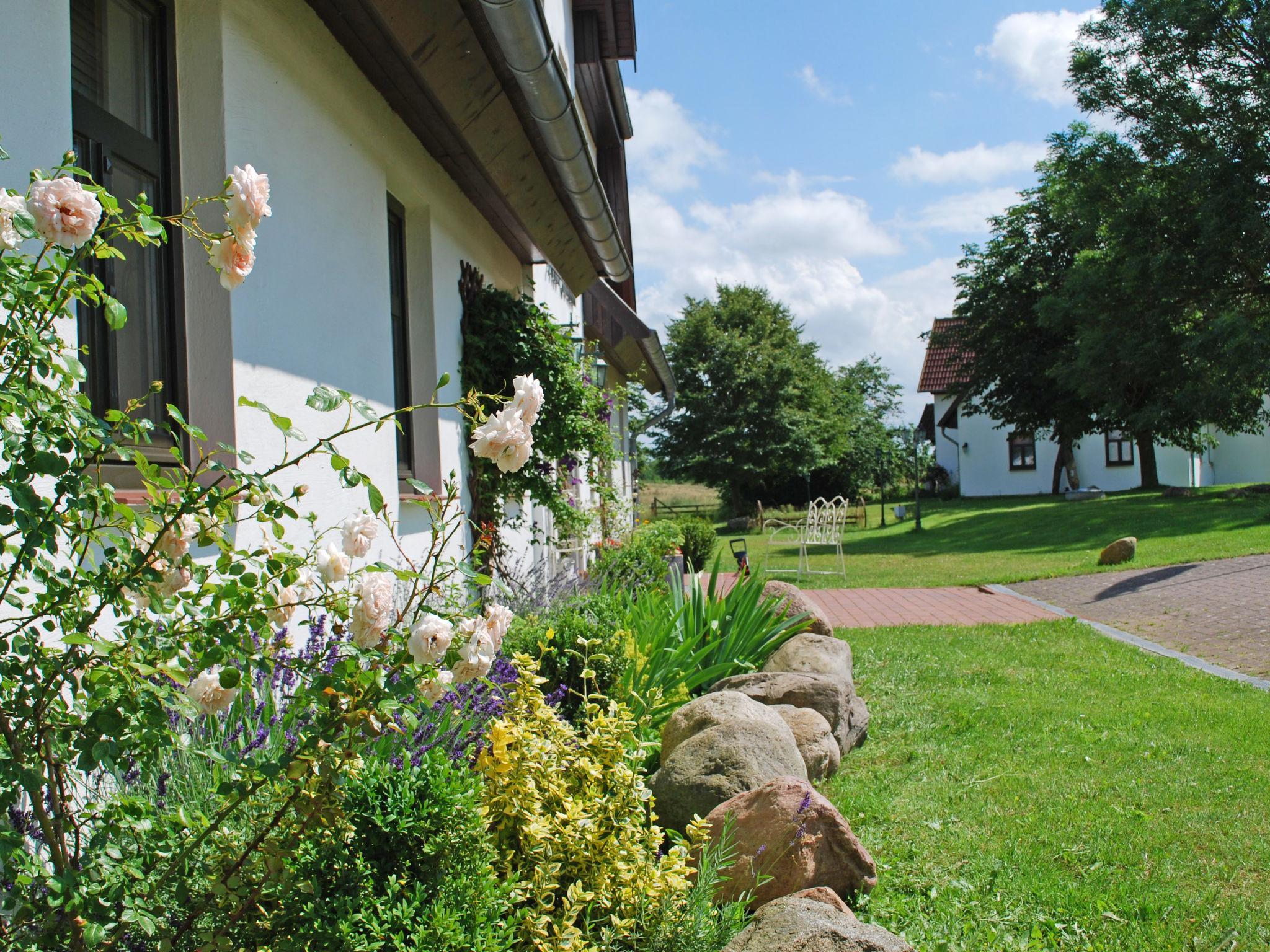 Foto 4 - Apartment mit 2 Schlafzimmern in Dargun mit schwimmbad und garten