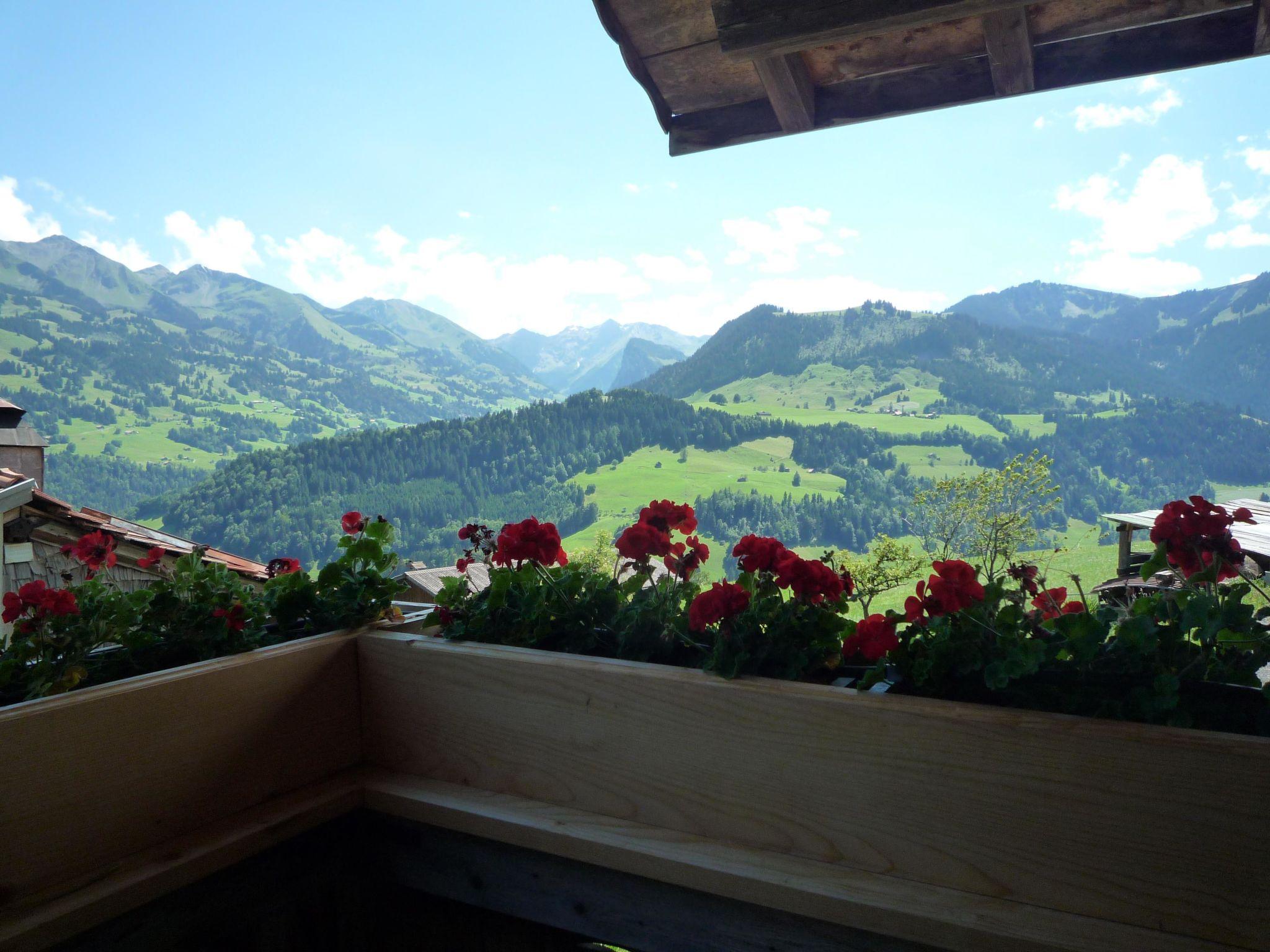 Foto 5 - Appartamento con 2 camere da letto a Erlenbach im Simmental con vista sulle montagne