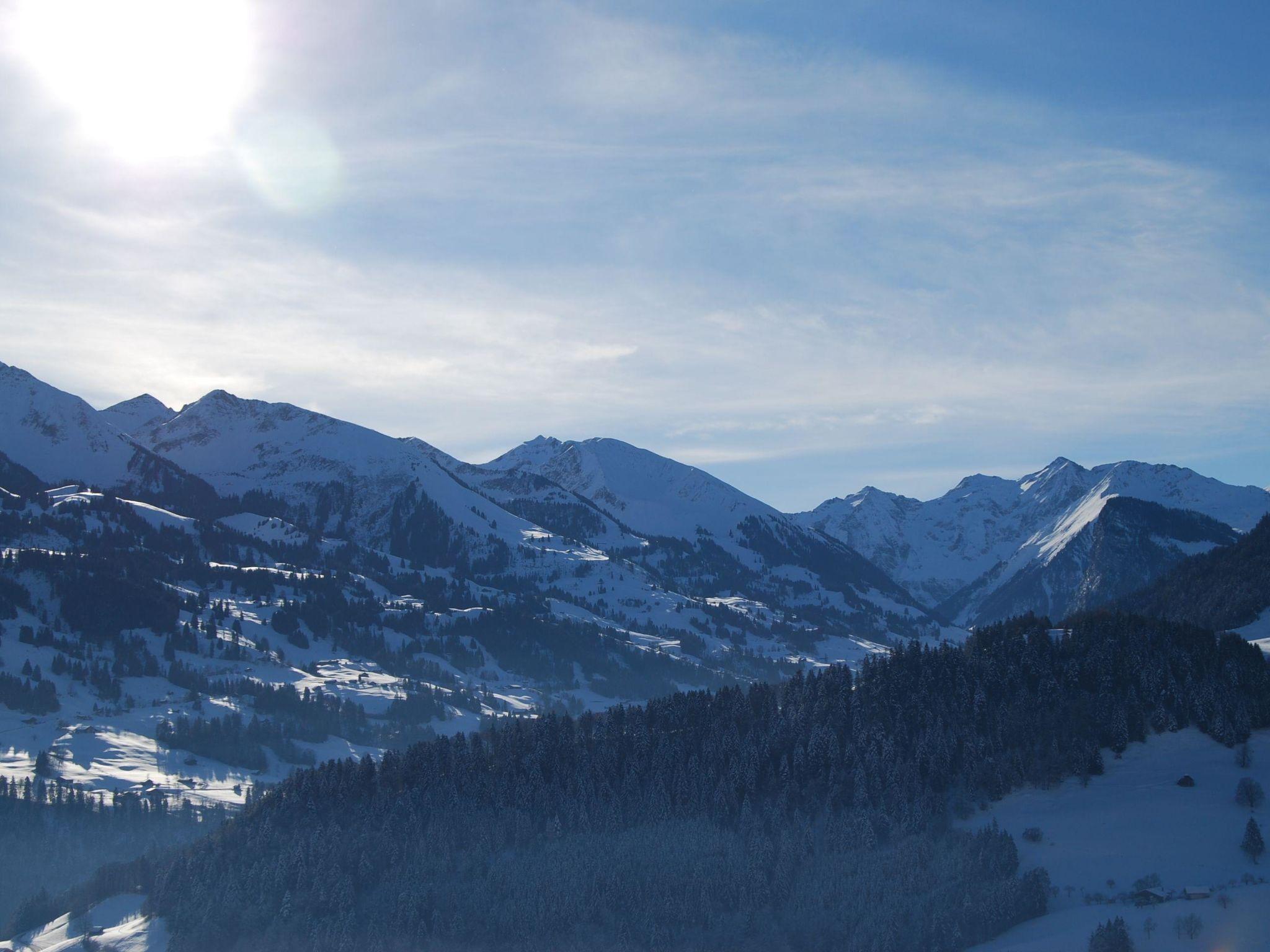 Foto 6 - Appartamento con 2 camere da letto a Erlenbach im Simmental con vista sulle montagne