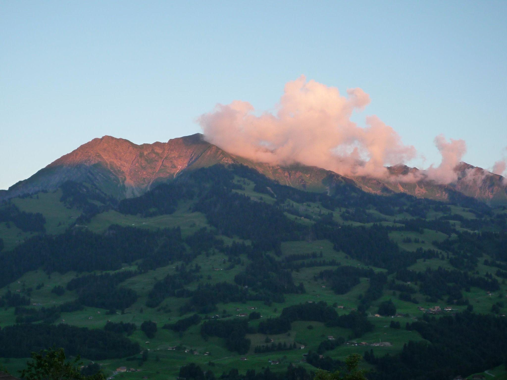 Photo 3 - Appartement de 2 chambres à Erlenbach im Simmental avec vues sur la montagne