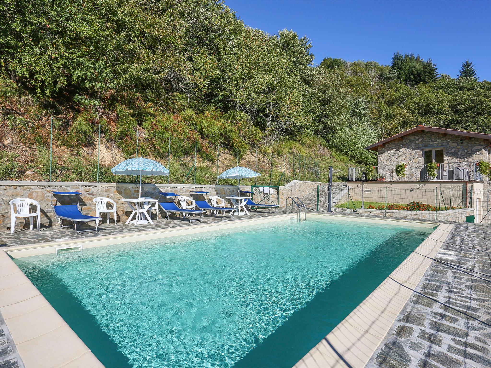 Photo 1 - Appartement de 2 chambres à Villa Collemandina avec piscine et jardin