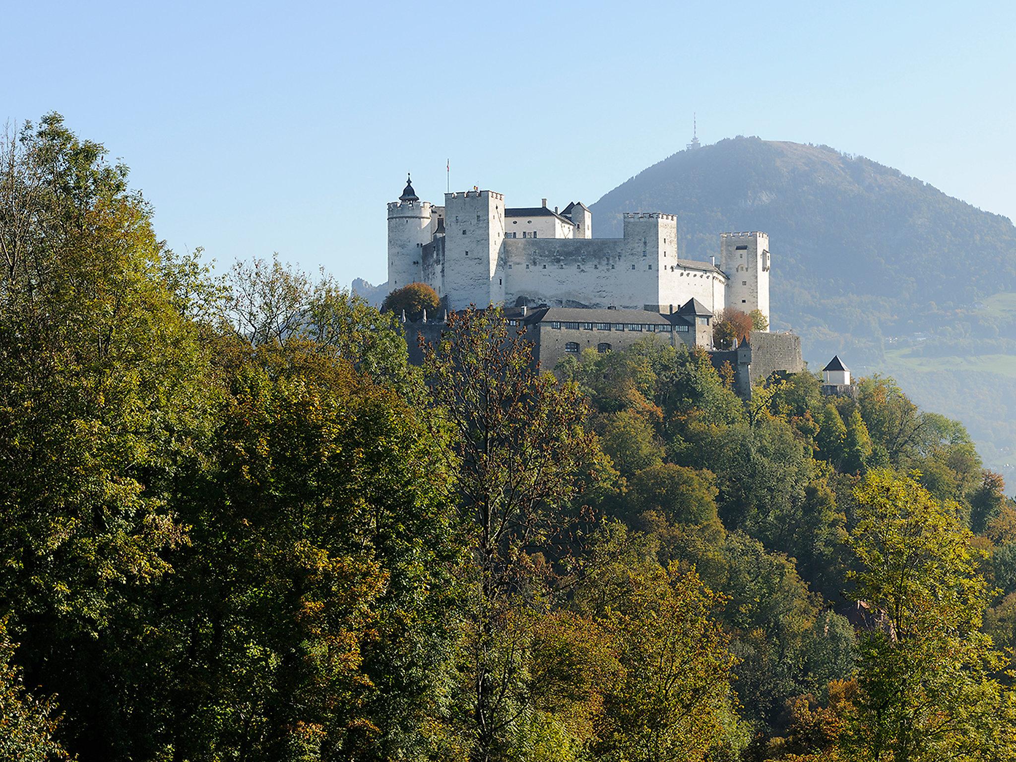 Foto 18 - Appartamento con 2 camere da letto a Sankt Wolfgang im Salzkammergut con giardino e terrazza