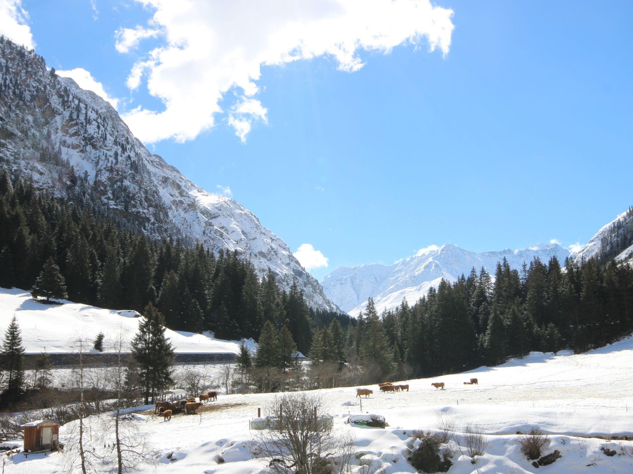 Foto 17 - Appartamento con 1 camera da letto a Sankt Leonhard im Pitztal con giardino e terrazza