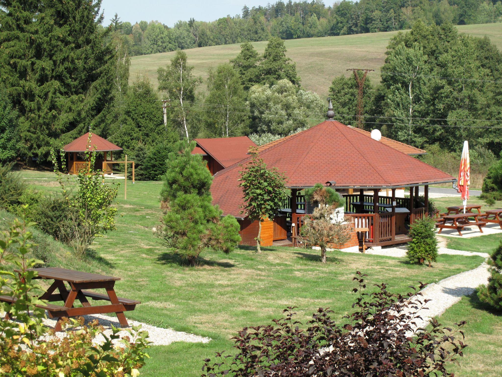 Foto 17 - Casa con 3 camere da letto a Borušov con piscina e giardino