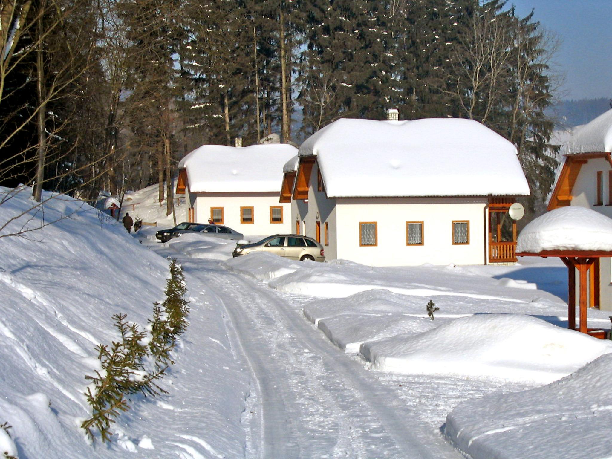 Foto 21 - Haus mit 3 Schlafzimmern in Borušov mit schwimmbad und garten