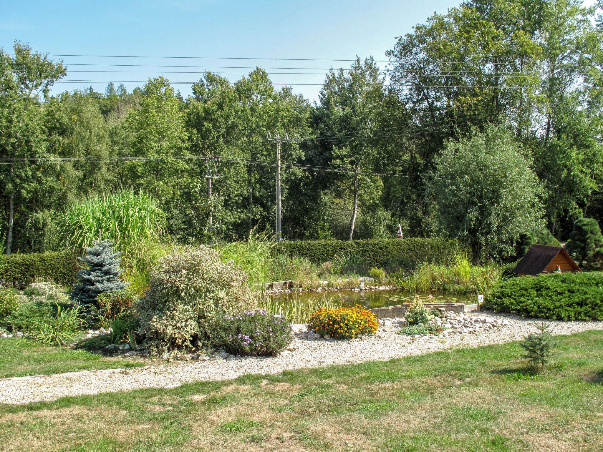 Foto 18 - Casa de 3 quartos em Borušov com piscina e jardim