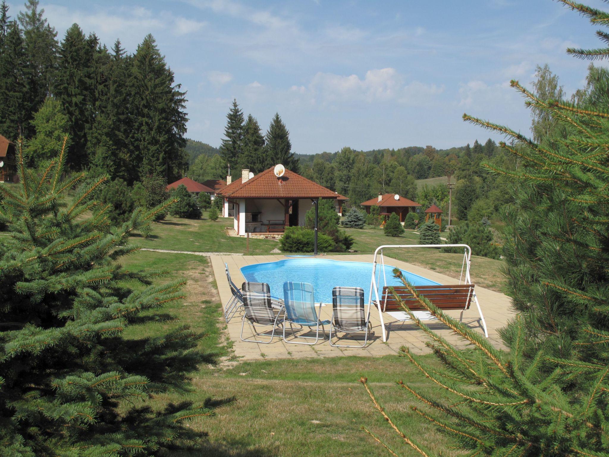 Foto 14 - Casa de 3 habitaciones en Borušov con piscina y jardín