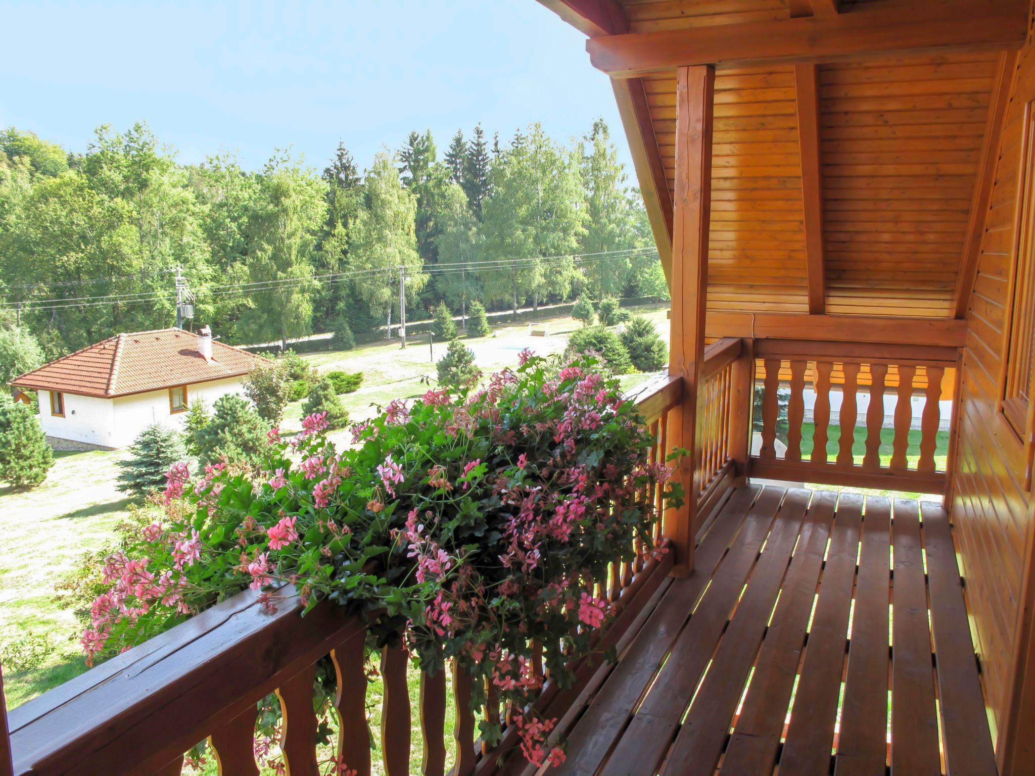 Photo 11 - Maison de 3 chambres à Borušov avec piscine et jardin