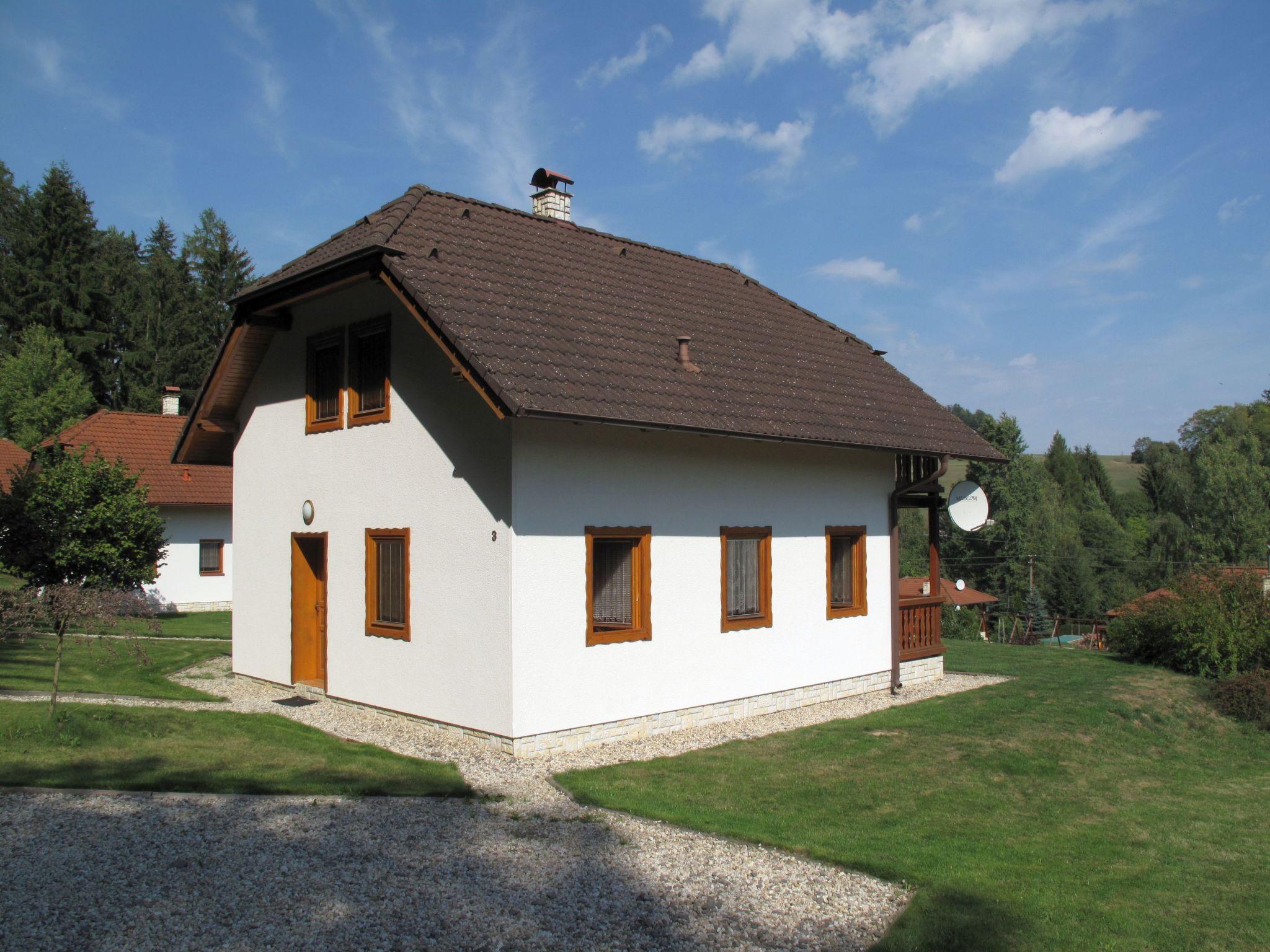 Foto 13 - Casa de 3 quartos em Borušov com piscina e jardim