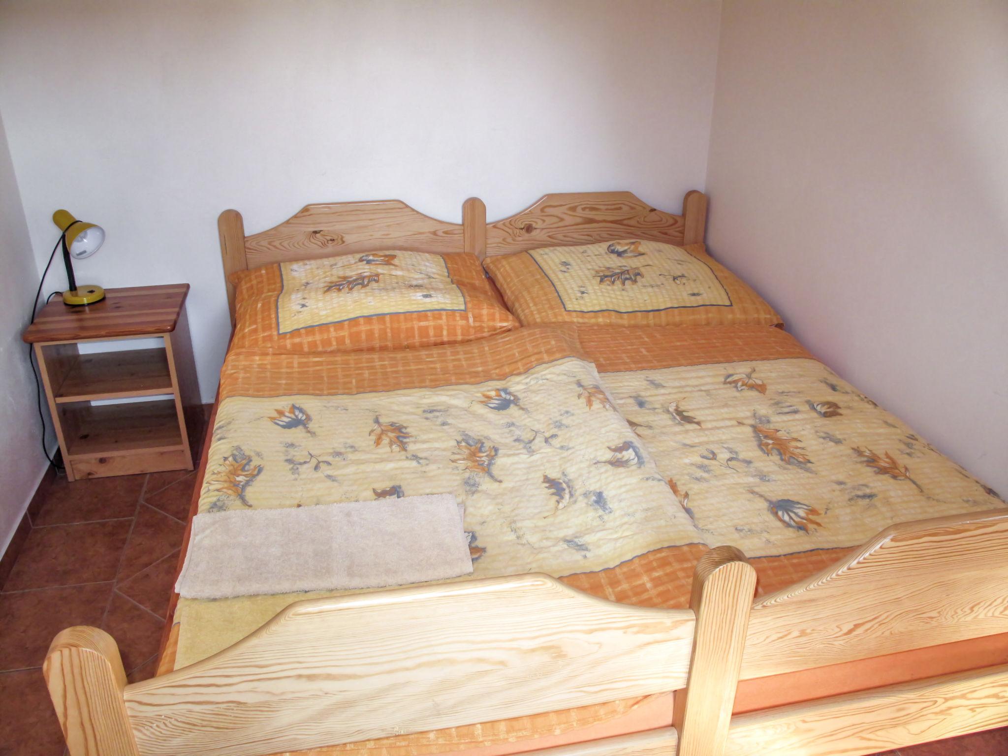 Foto 4 - Haus mit 3 Schlafzimmern in Borušov mit schwimmbad und garten